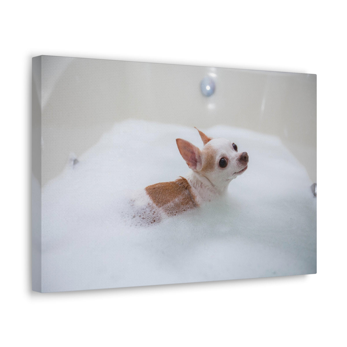 Cute Chihuahua Bathee Canvas Wall Art for Home Decor Ready-to-Hang-Express Your Love Gifts