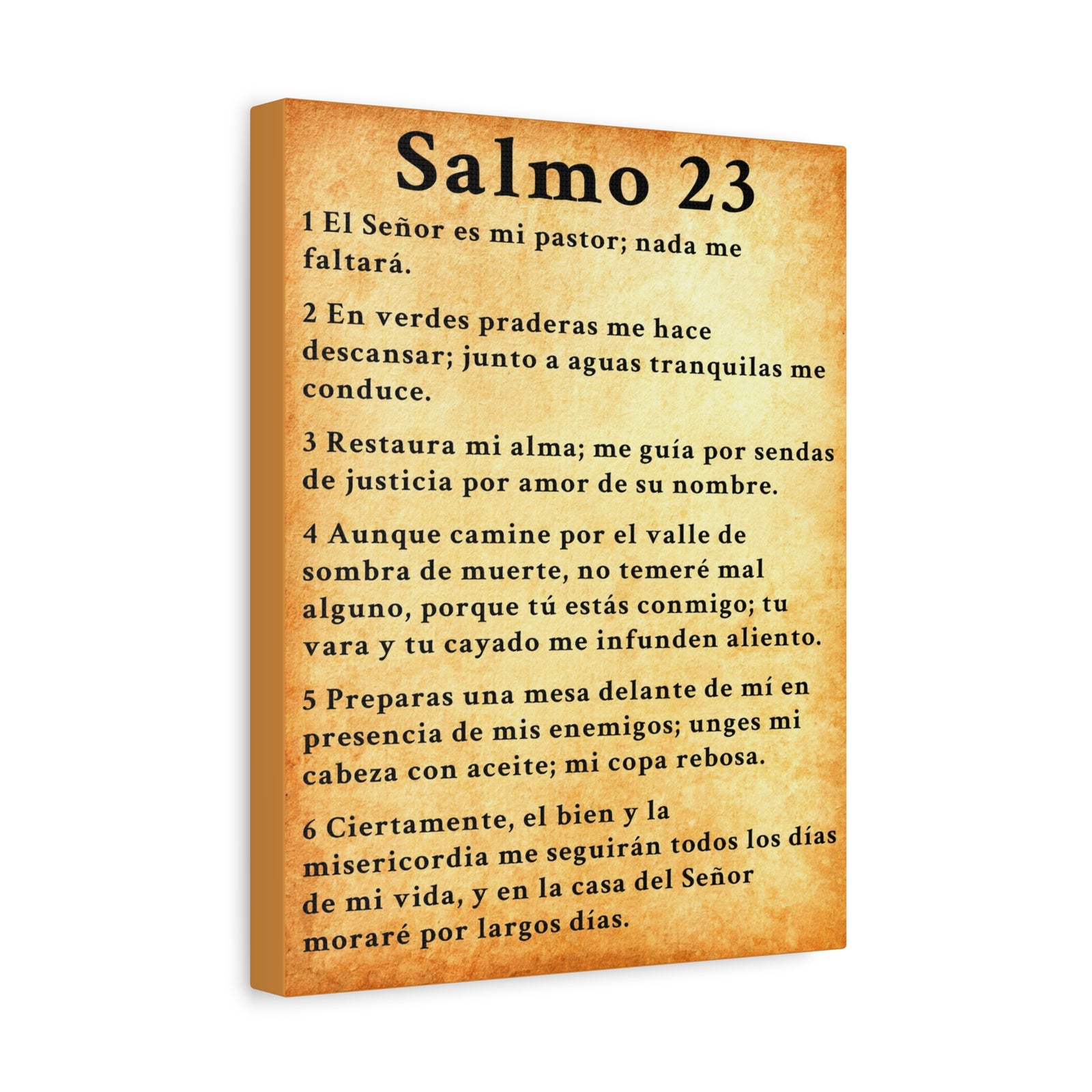 Scripture Walls Salmo 23 Chapter Gold Christian Wall Art Print Ready to Hang Unframed-Express Your Love Gifts