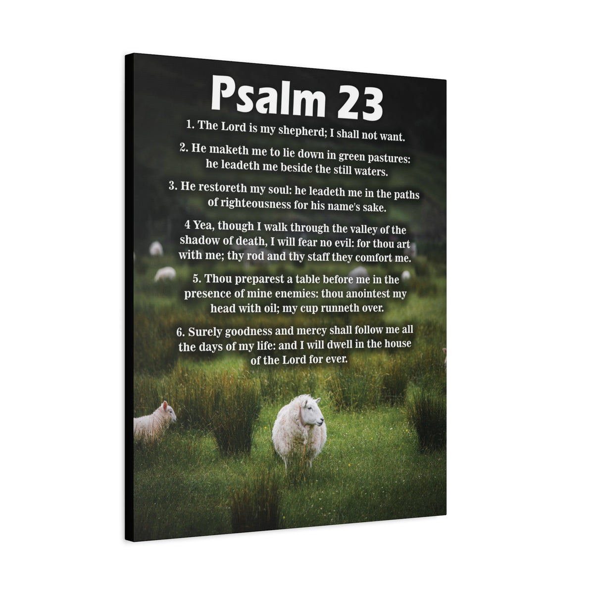 Scripture Walls The Lord is My Shepherd Psalm 23:3 Christian Wall Art Bible Verse Print Ready to Hang-Express Your Love Gifts