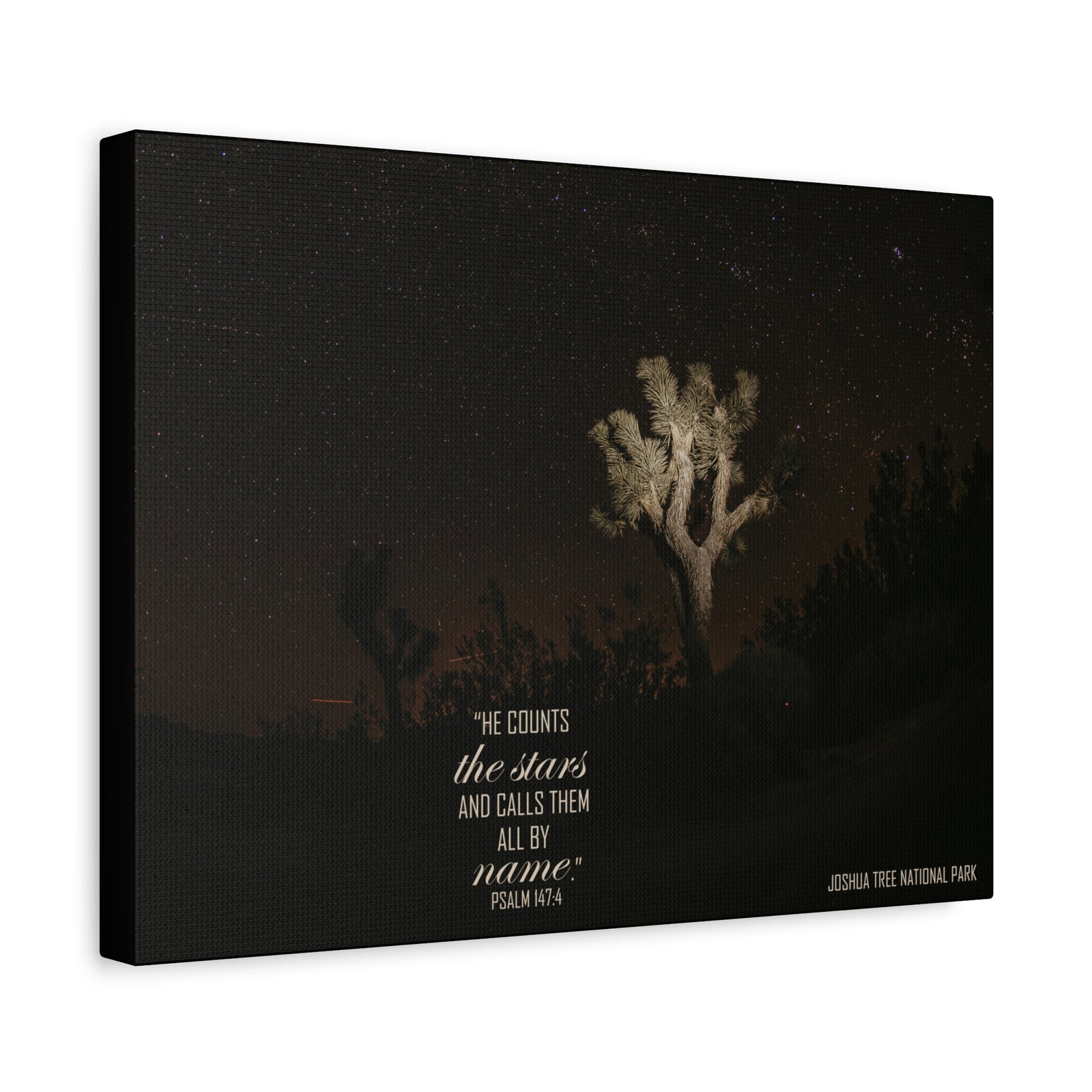 Scripture Walls Counts The Stars Psalm 147:4 Bible Verse Canvas Christian Wall Art Ready to Hang-Express Your Love Gifts