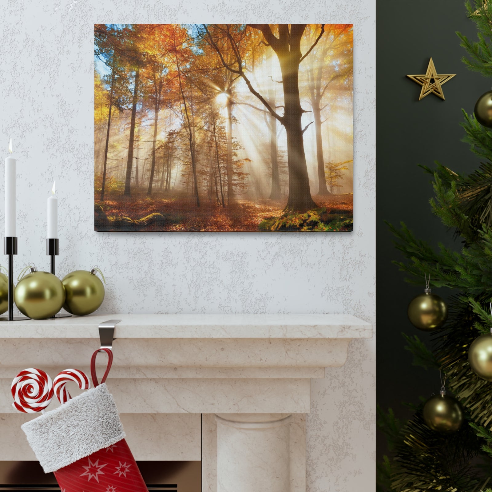 Sunlight Shine Autumn Forest Nature Wilderness Photography Canvas Wall Art for Home Decor Ready-to-Hang-Express Your Love Gifts