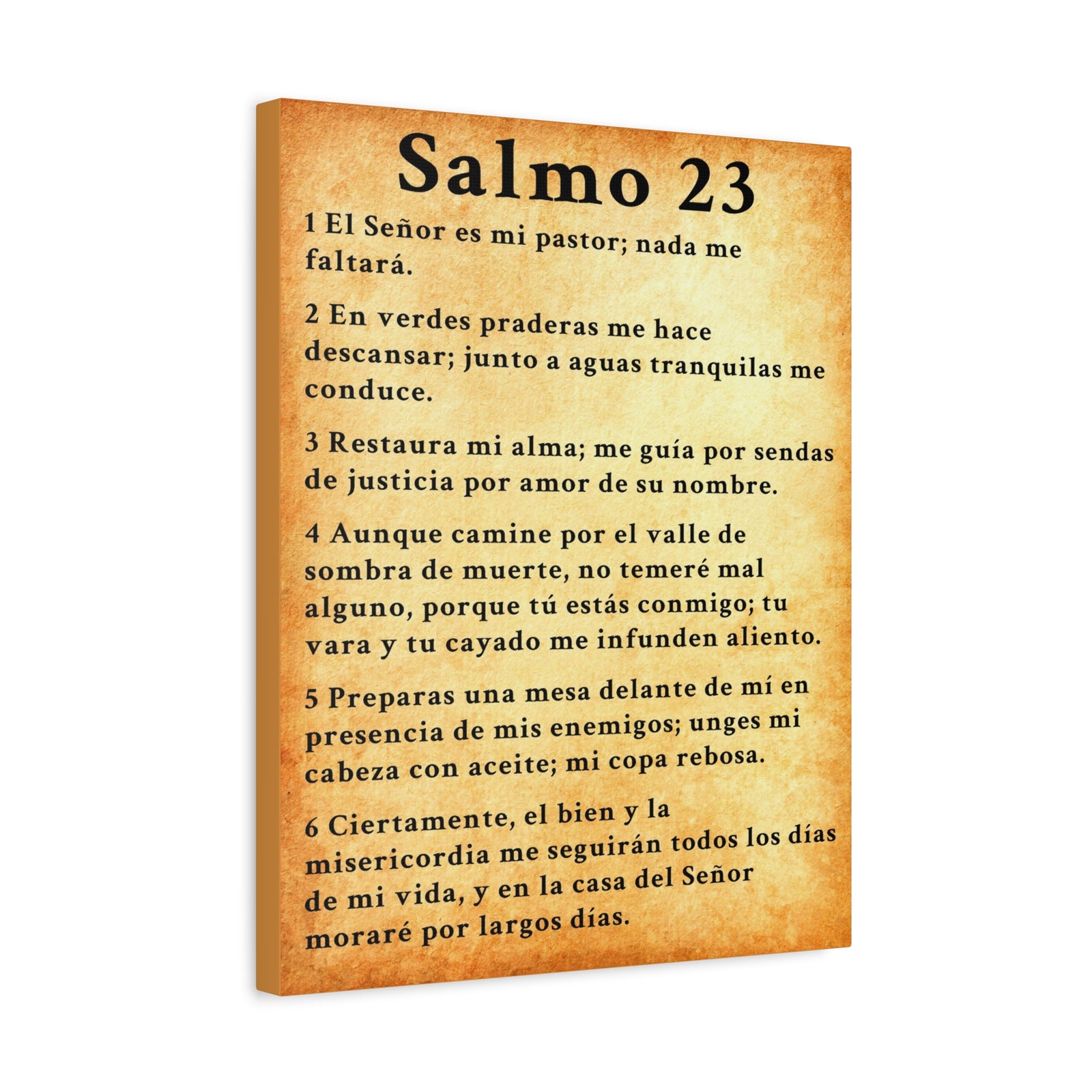 Scripture Walls Salmo 23 Chapter Gold Christian Wall Art Print Ready to Hang Unframed-Express Your Love Gifts