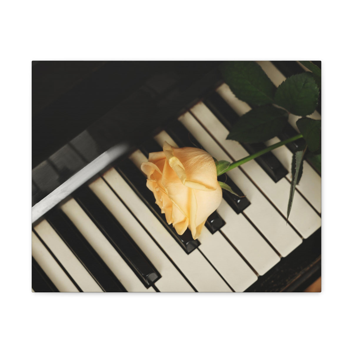 Piano Rose Music Lover's Delight Piano Keyboard Canvas Wall Art for Home Decor Ready-to-Hang-Express Your Love Gifts