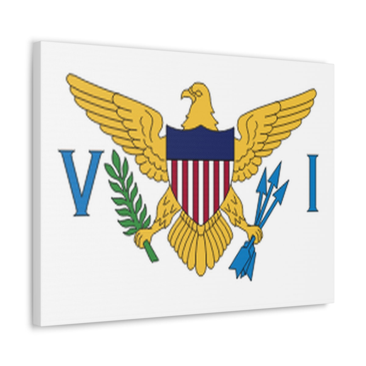 United States Virgin Islands Country Flag Canvas Vibrant Wall Art Unframed Home Decor-Express Your Love Gifts