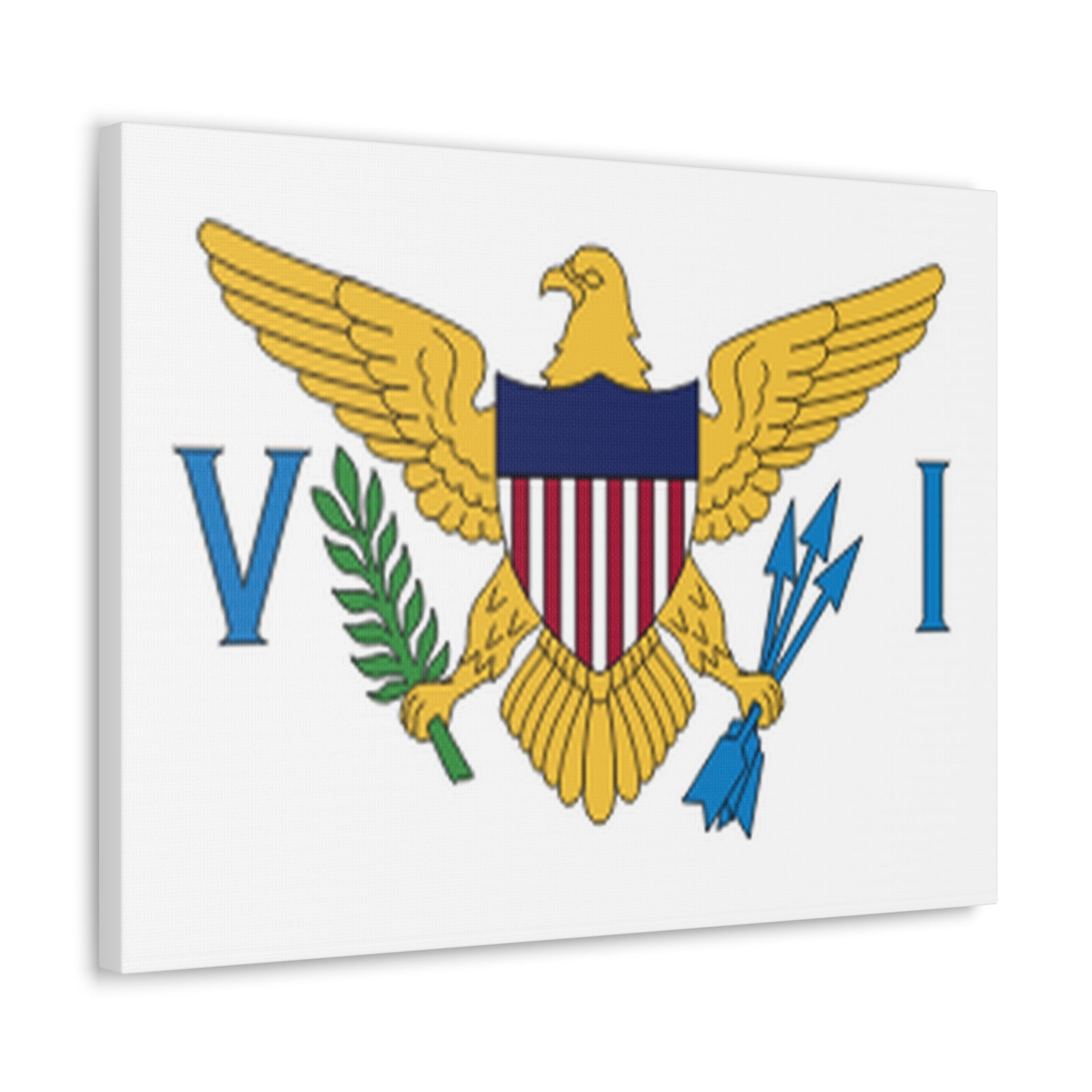 United States Virgin Islands Country Flag Canvas Vibrant Wall Art Unframed Home Decor-Express Your Love Gifts