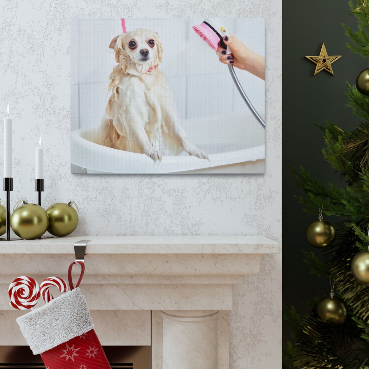 Cute Maltese Bath Canvas Wall Art for Home Decor Ready-to-Hang-Express Your Love Gifts