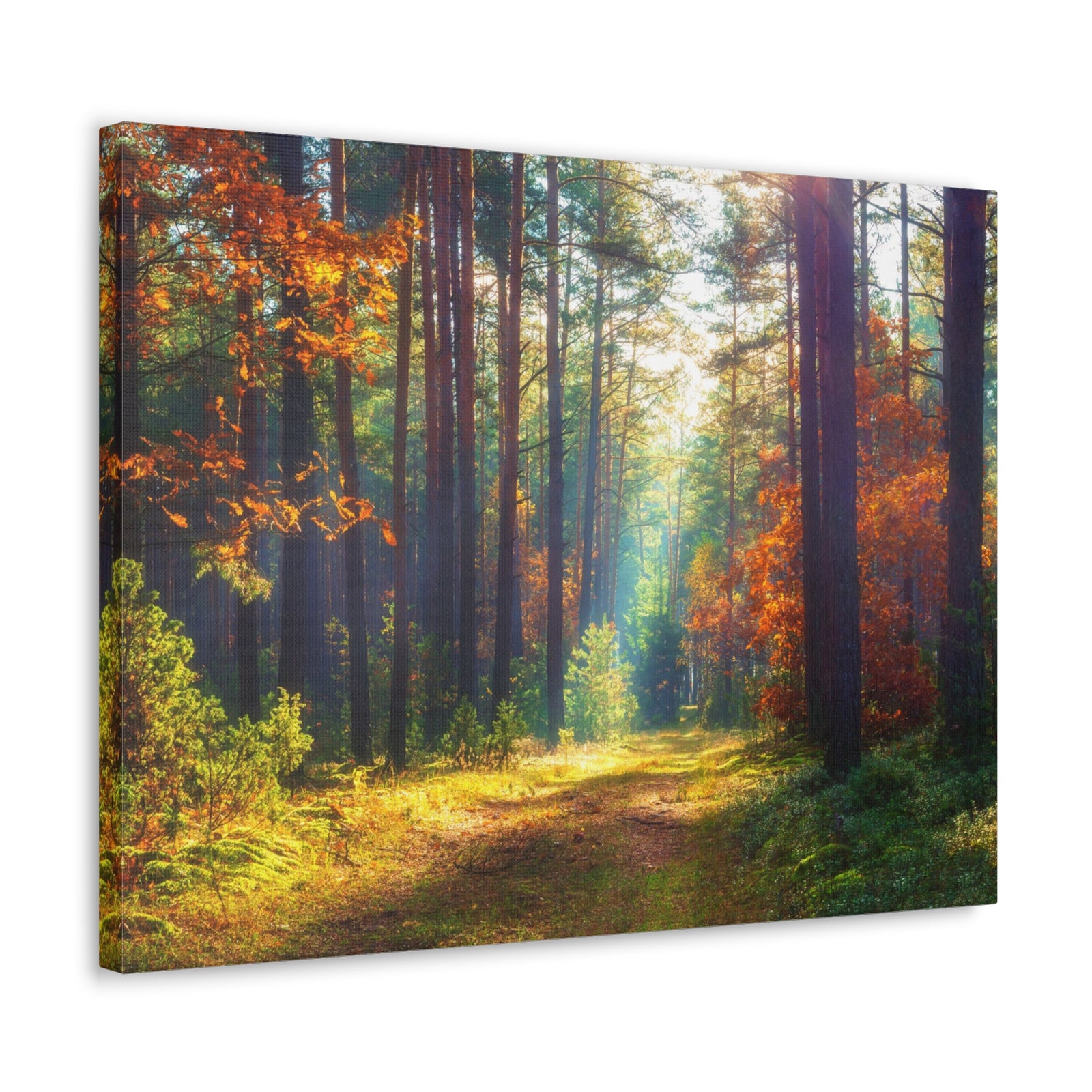 Autumn Forest Sunlight Shine Orange Tree Nature Wilderness Photography Canvas Wall Art for Home Decor Ready-to-Hang-Express Your Love Gifts