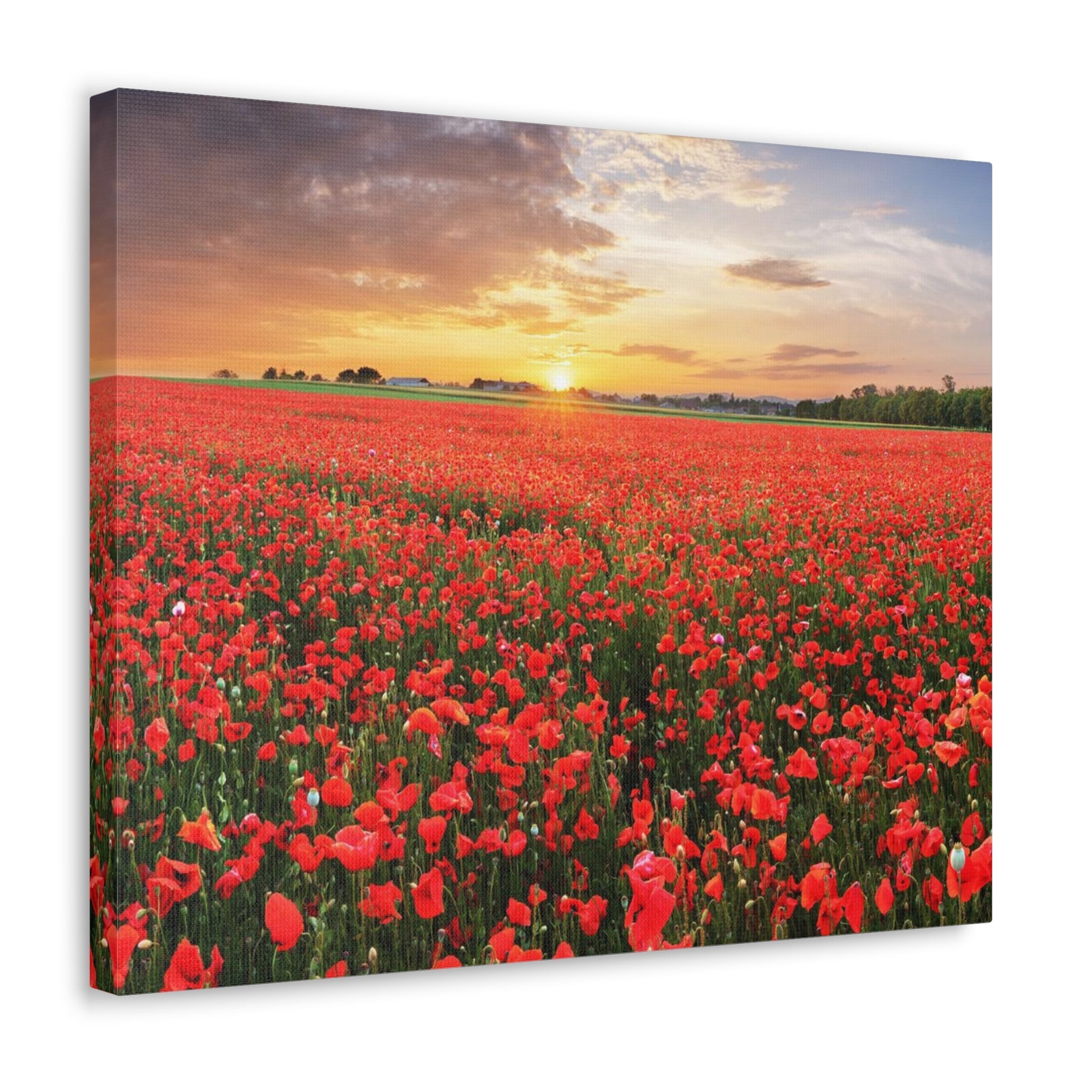 Nice Sunset Over Poppy Field Flower Canvas Wall Art for Home Decor Ready-to-Hang-Express Your Love Gifts