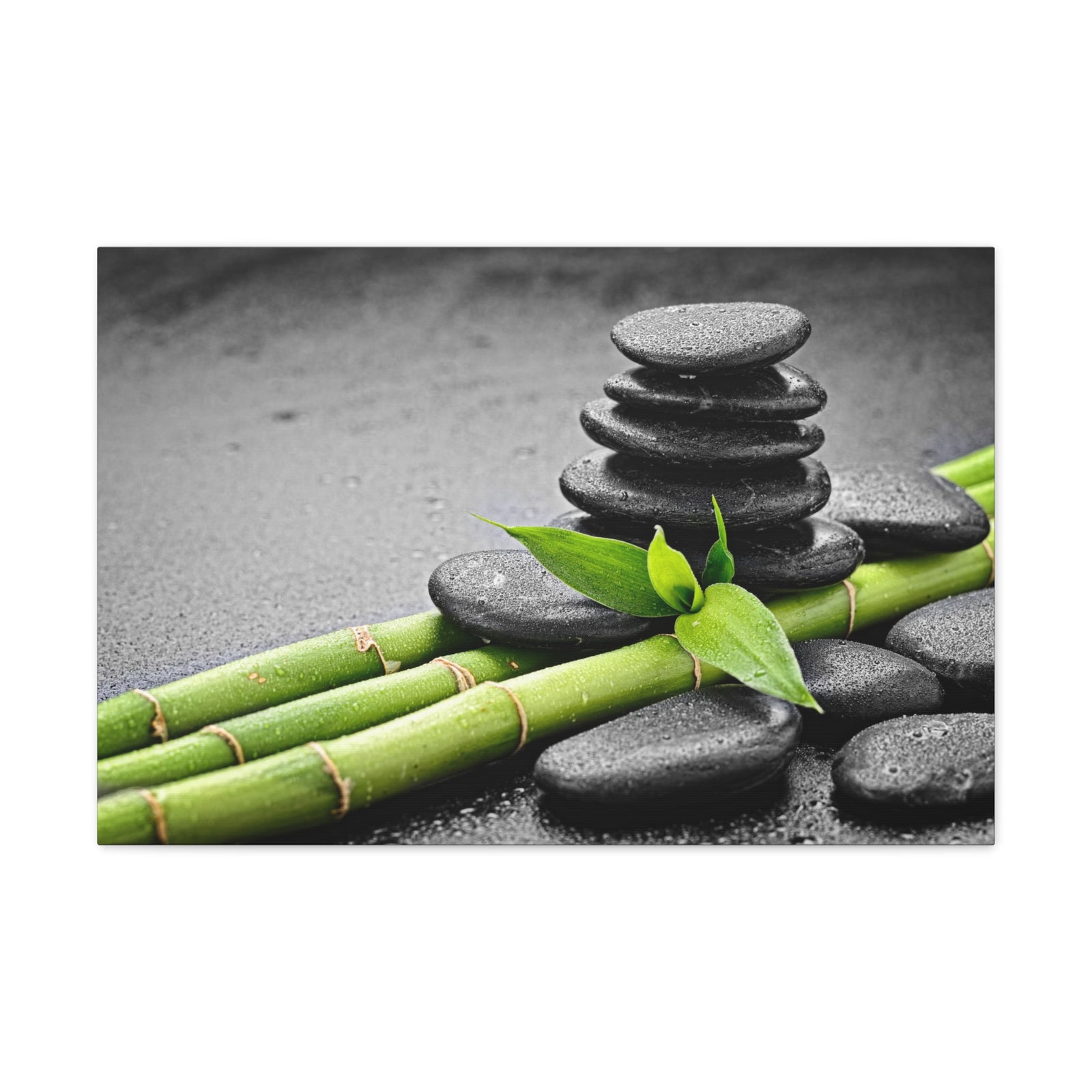 Bamboo on the Black Forest Floral Nature Photography Canvas Wall Art for Home Decor Ready-to-Hang-Express Your Love Gifts