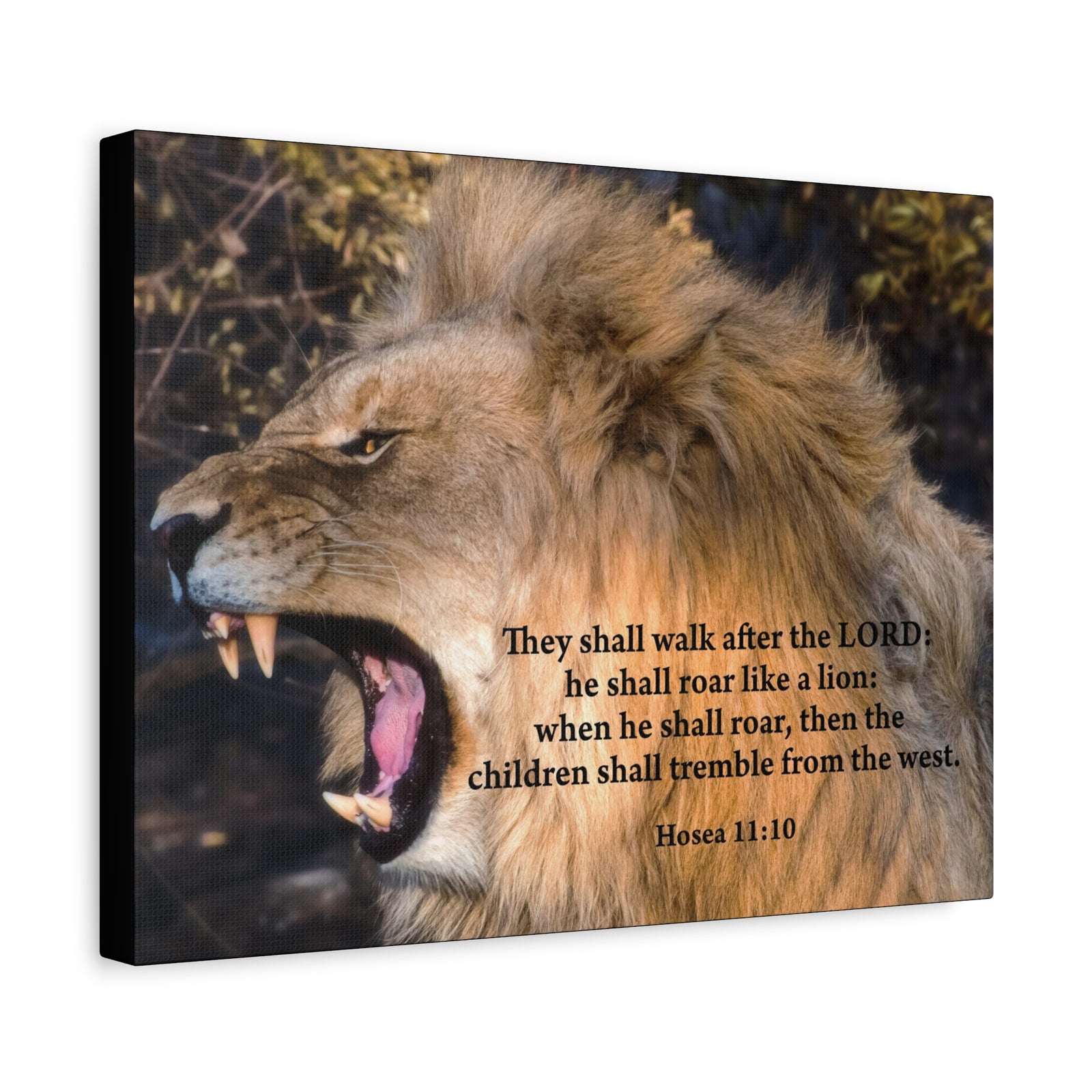 Scripture Canvas Roaring Lion of Judah Hosea 11:10 Christian Wall Art Bible Verse Print Ready to Hang-Express Your Love Gifts