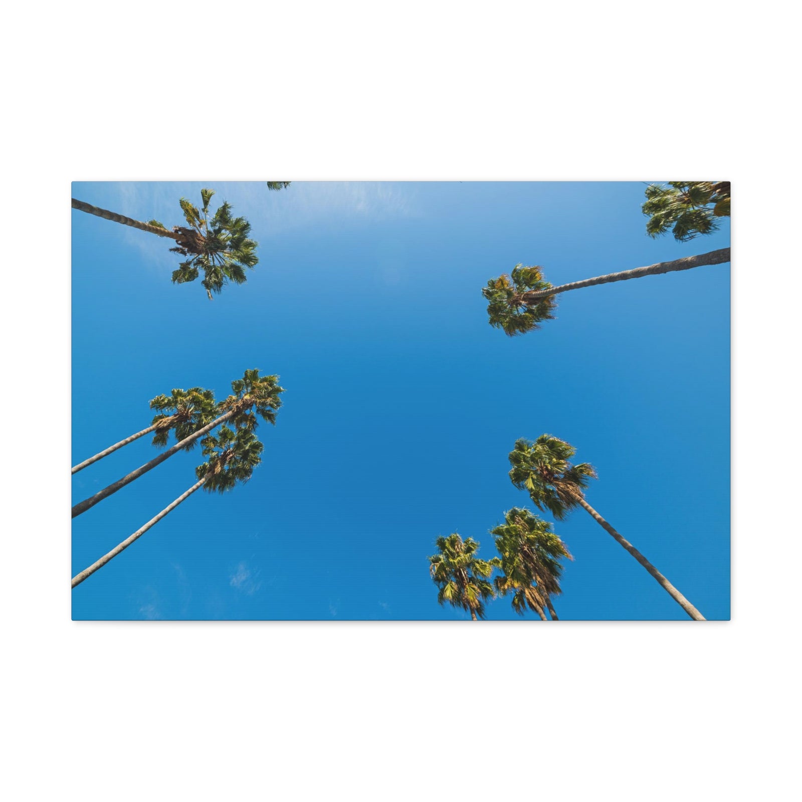 Palm Trees Los Angeles Modern Multicolor Scenic Nature Photography Canvas Home Office Decor Ready to Hang-Express Your Love Gifts
