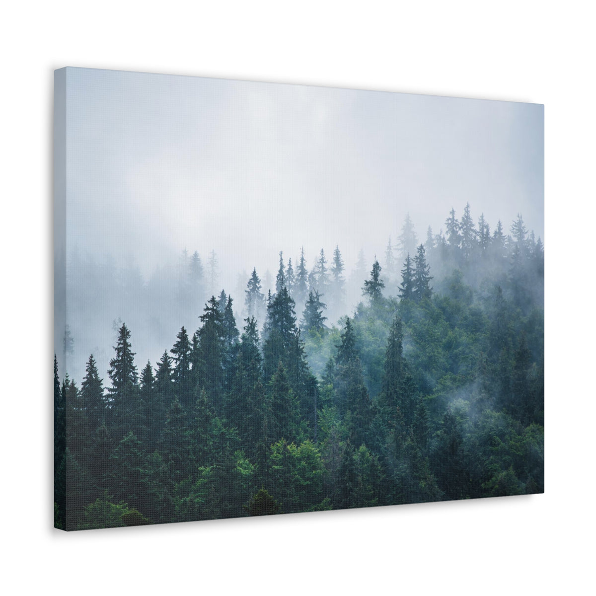 Misty Dark Mountain Forest Nature Wilderness Photography Canvas Wall Art for Home Decor Ready-to-Hang-Express Your Love Gifts