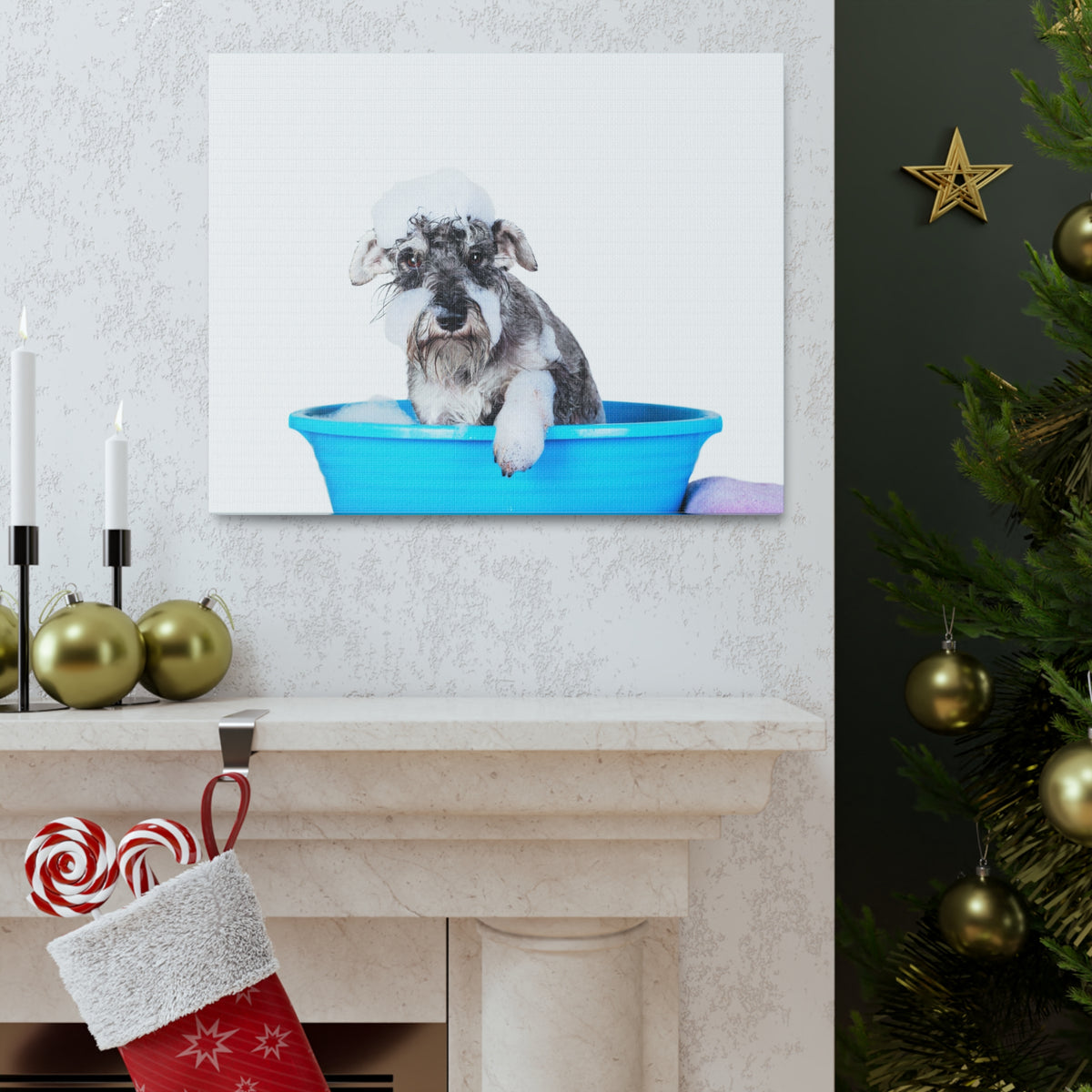Cute Schnauzer Bath Canvas Wall Art for Home Decor Ready-to-Hang-Express Your Love Gifts