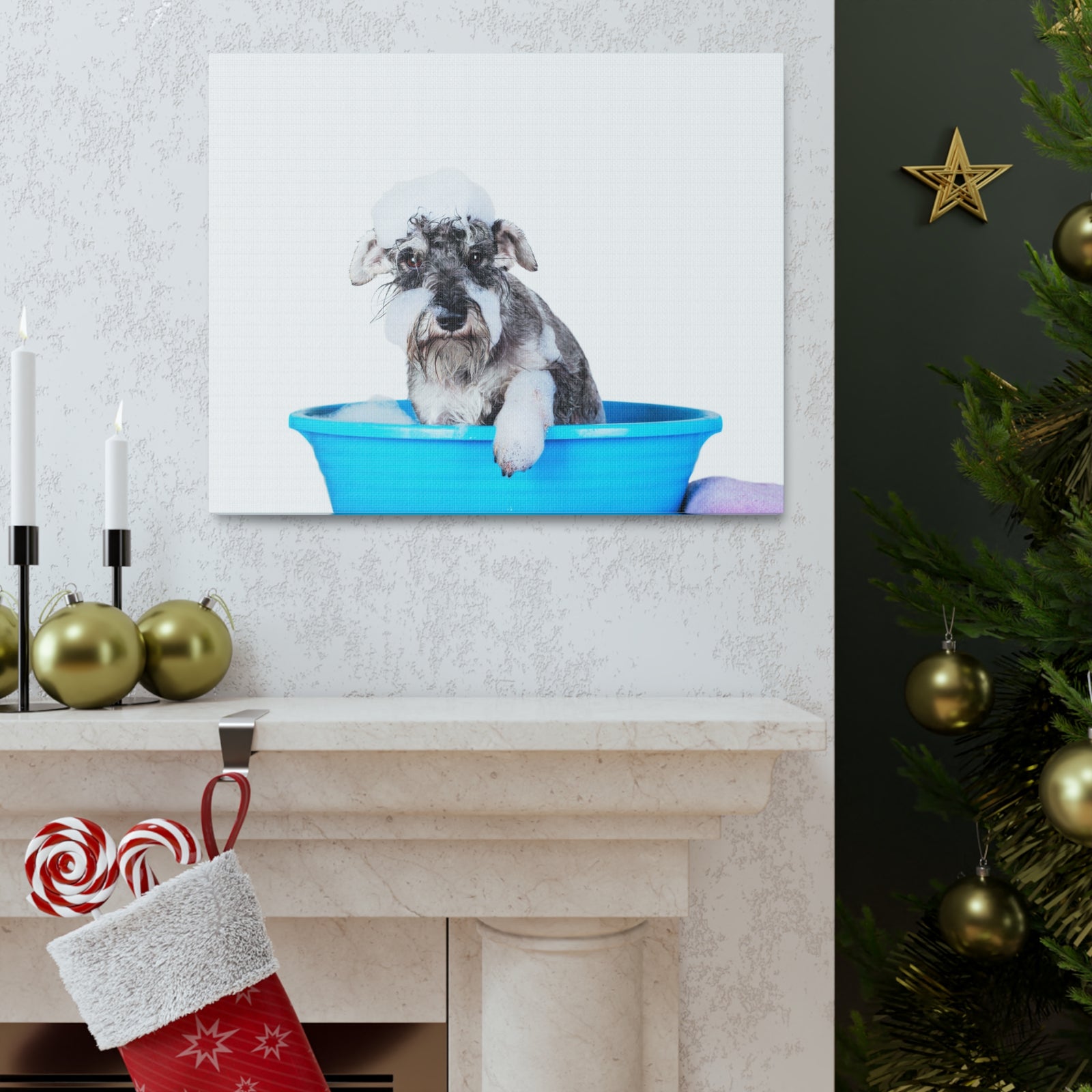 Cute Schnauzer Bath Canvas Wall Art for Home Decor Ready-to-Hang-Express Your Love Gifts