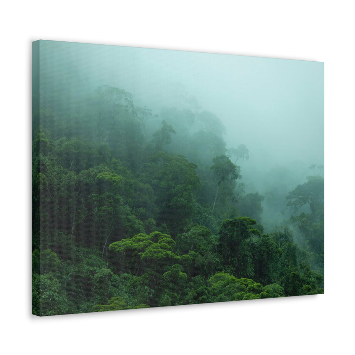 Dark Misty Forest Nature Wilderness Photography Canvas Wall Art for Home Decor Ready-to-Hang-Express Your Love Gifts