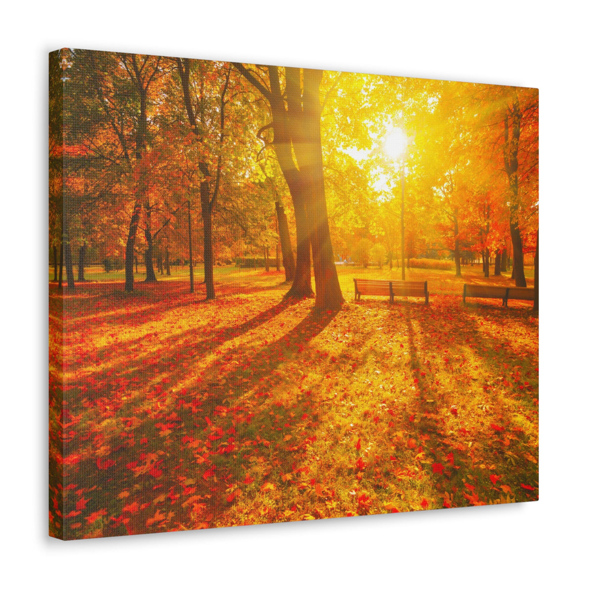 Sunrise Autumn Park Nature Wilderness Photography Canvas Wall Art for Home Decor Ready-to-Hang-Express Your Love Gifts