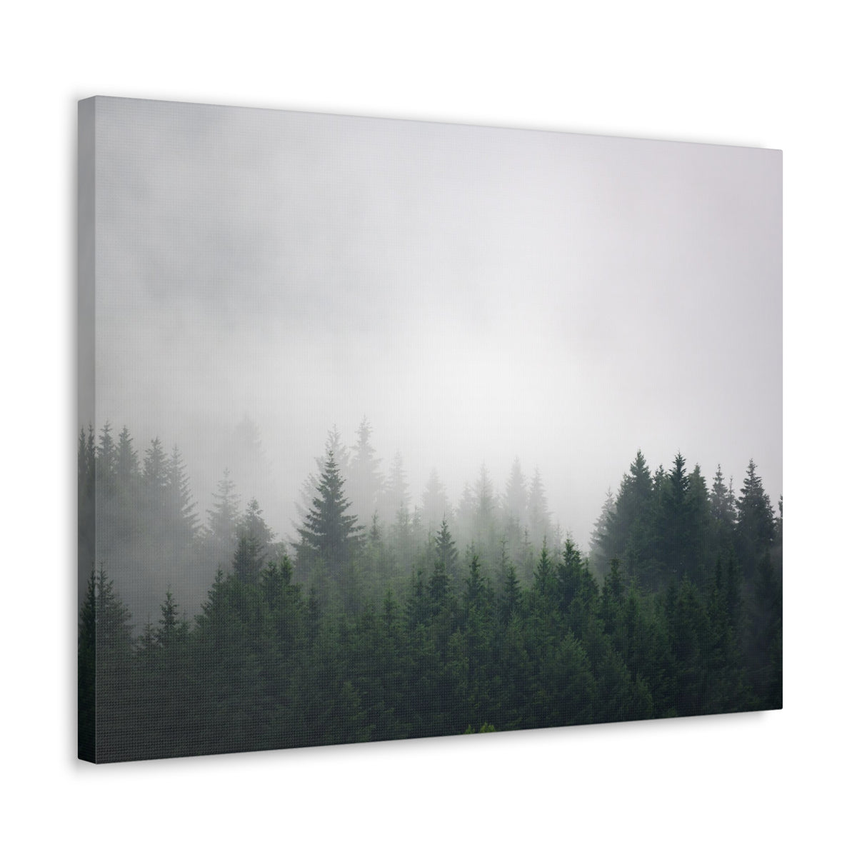 Foggy Dark Forest Nature Wilderness Photography Canvas Wall Art for Home Decor Ready-to-Hang-Express Your Love Gifts