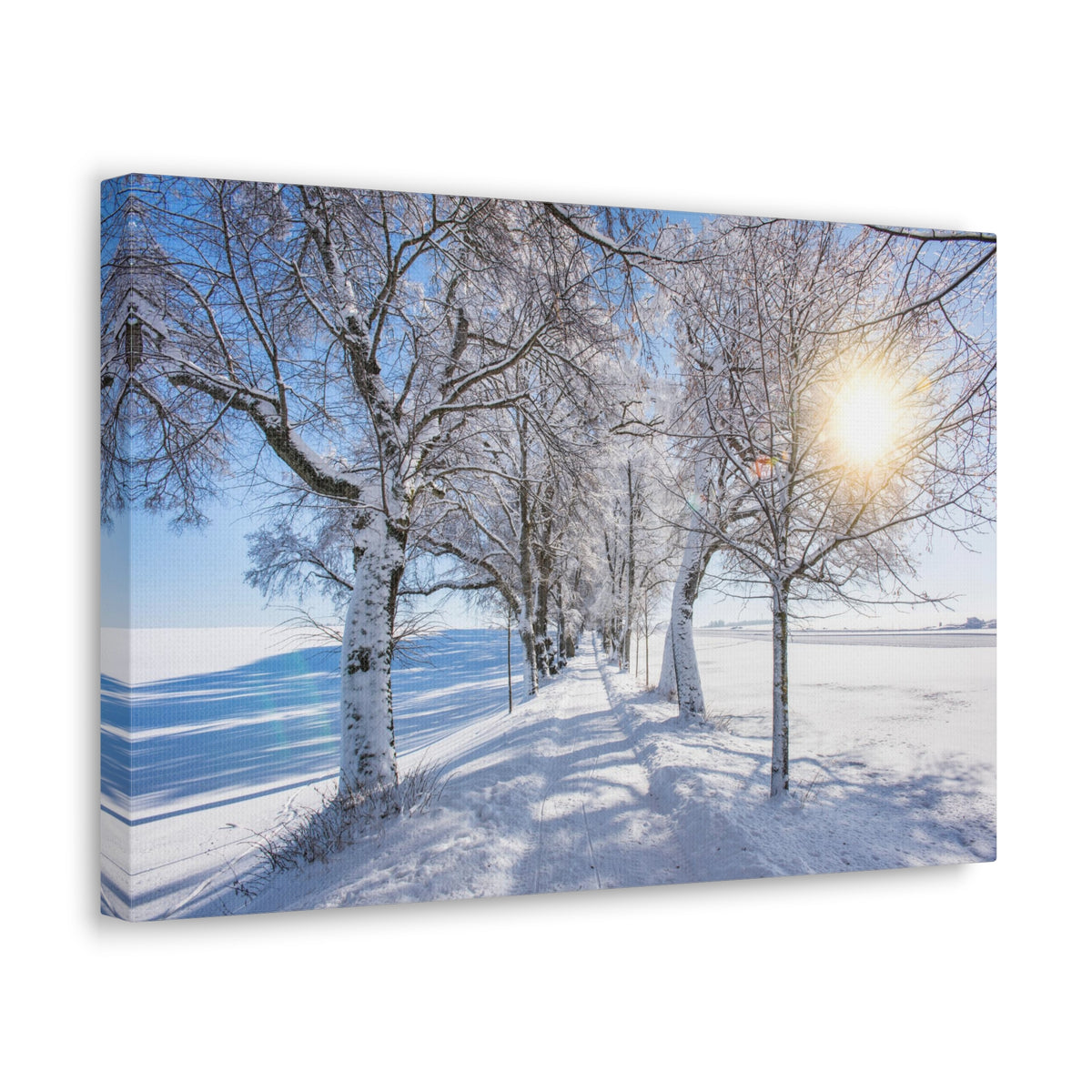 Small Footpath In Winter Through Trees Canvas Wall Art for Home Decor Ready-to-Hang-Express Your Love Gifts