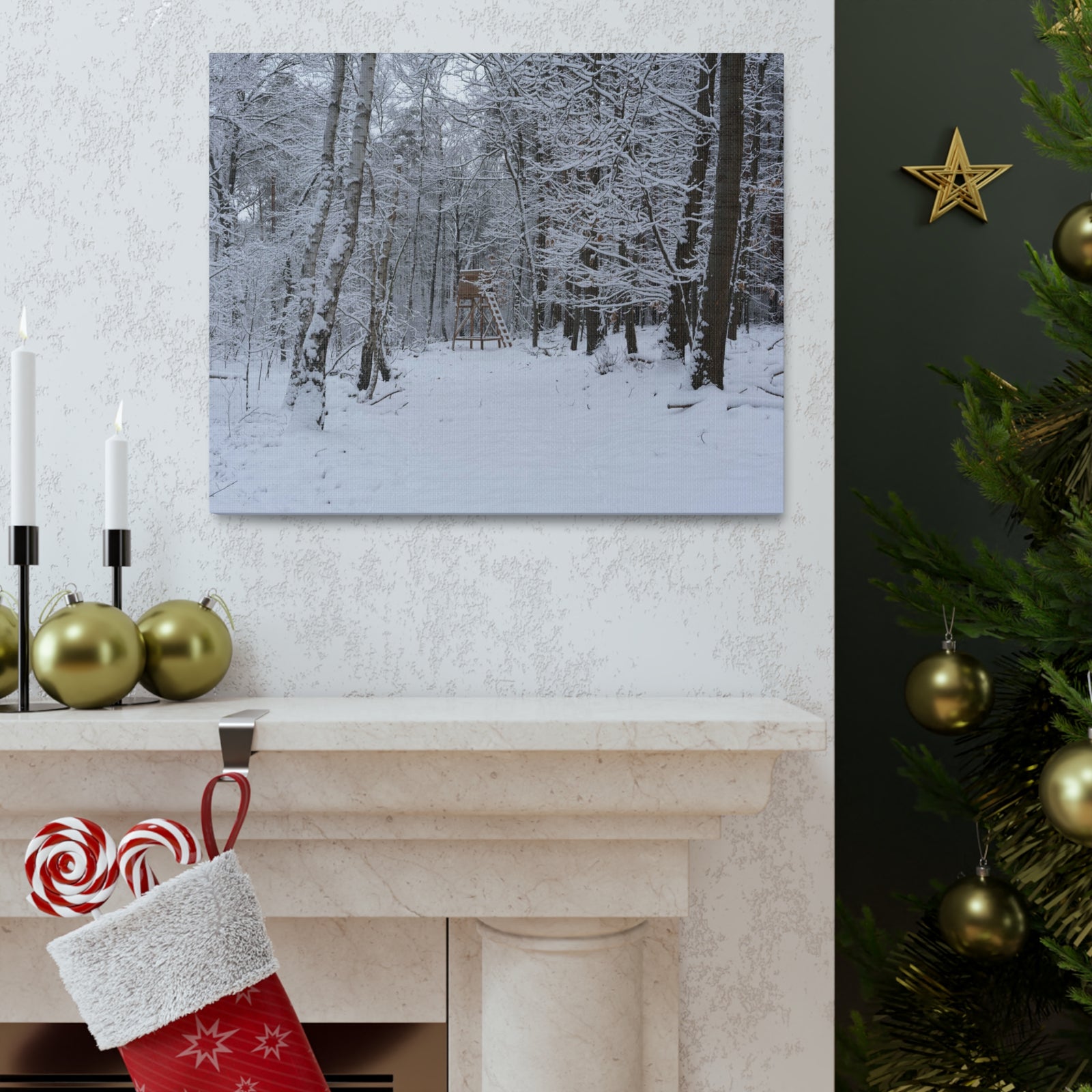 Forest Winter Tree Snow Nature Wilderness Photography Canvas Wall Art for Home Decor Ready-to-Hang-Express Your Love Gifts