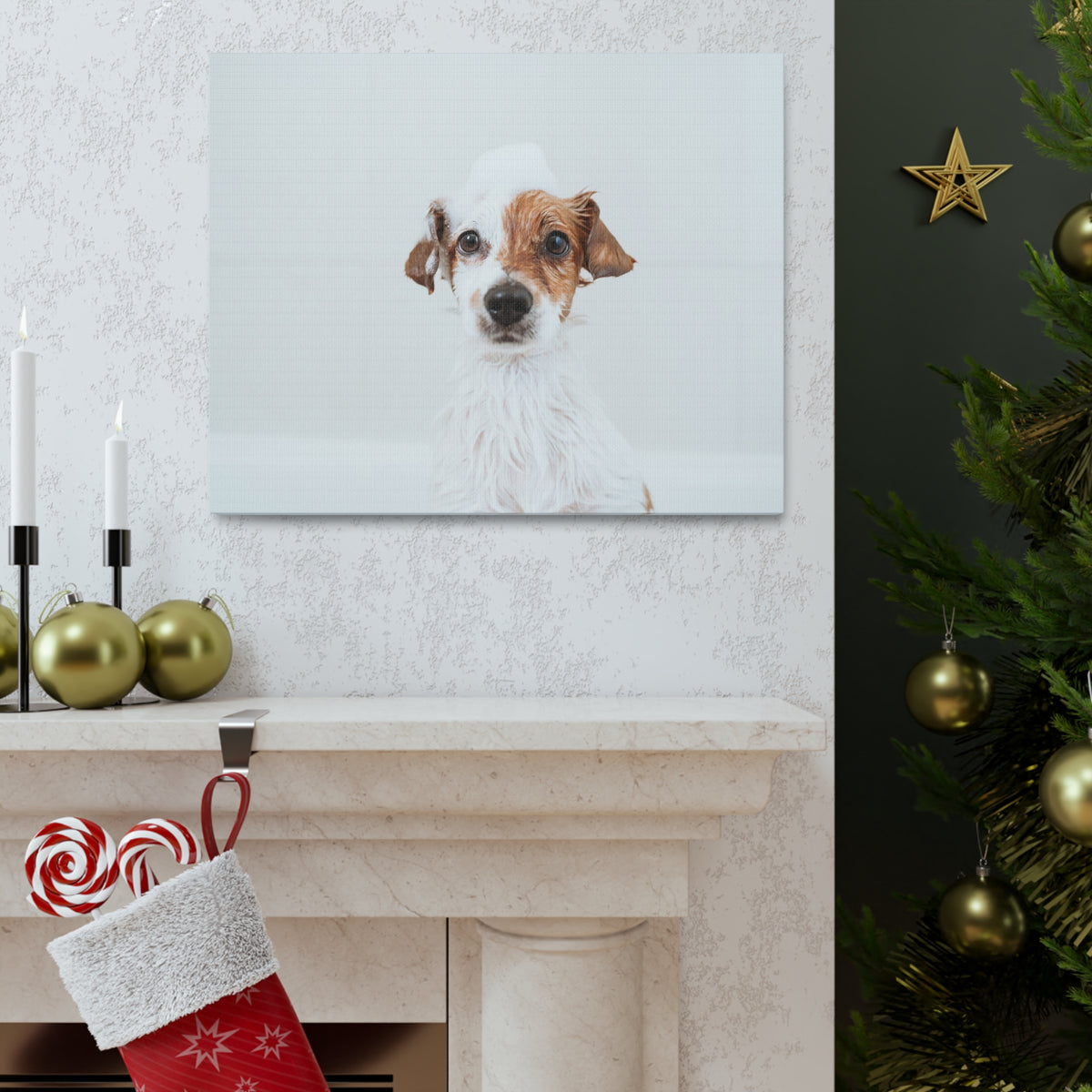 Cute Jack Russell Terrier Bathee Canvas Wall Art for Home Decor Ready-to-Hang-Express Your Love Gifts