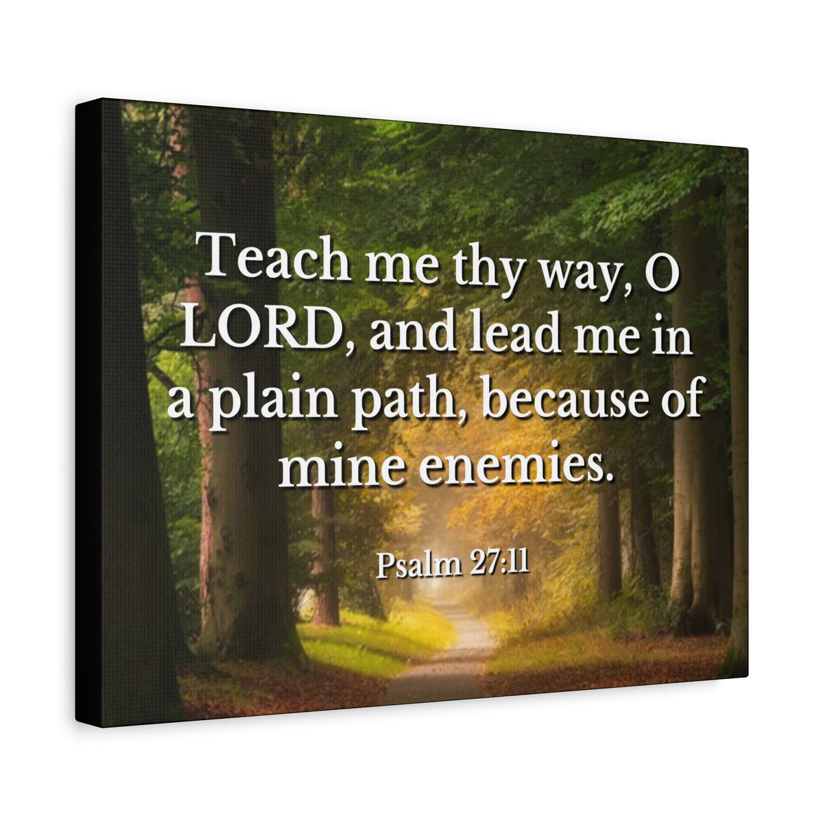 Scripture Canvas Plain Path Psalm 27:11 Christian Wall Art Bible Verse Print Ready to Hang-Express Your Love Gifts