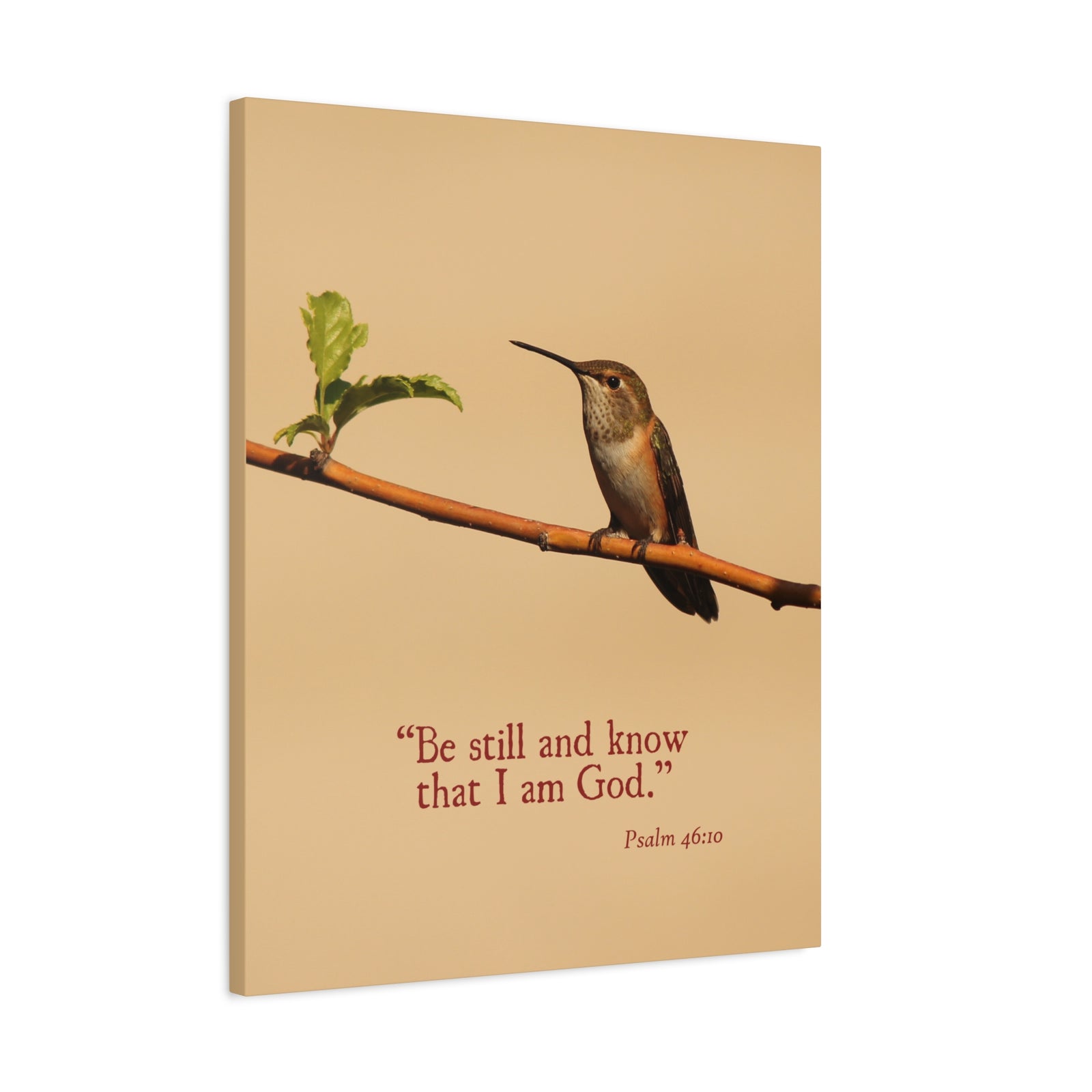 Scripture Walls I Am God Psalm 46:10 Bible Verse Canvas Christian Wall Art Ready to Hang-Express Your Love Gifts