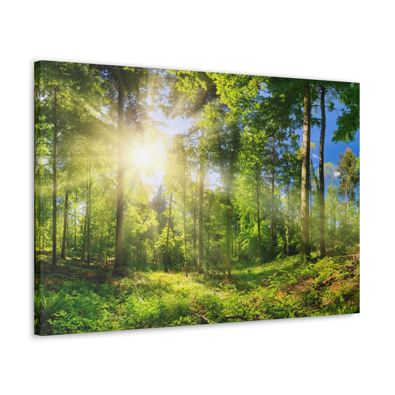 Sunrise Through Green Forest Nature Wilderness Photography Canvas Wall Art for Home Decor Ready-to-Hang-Express Your Love Gifts