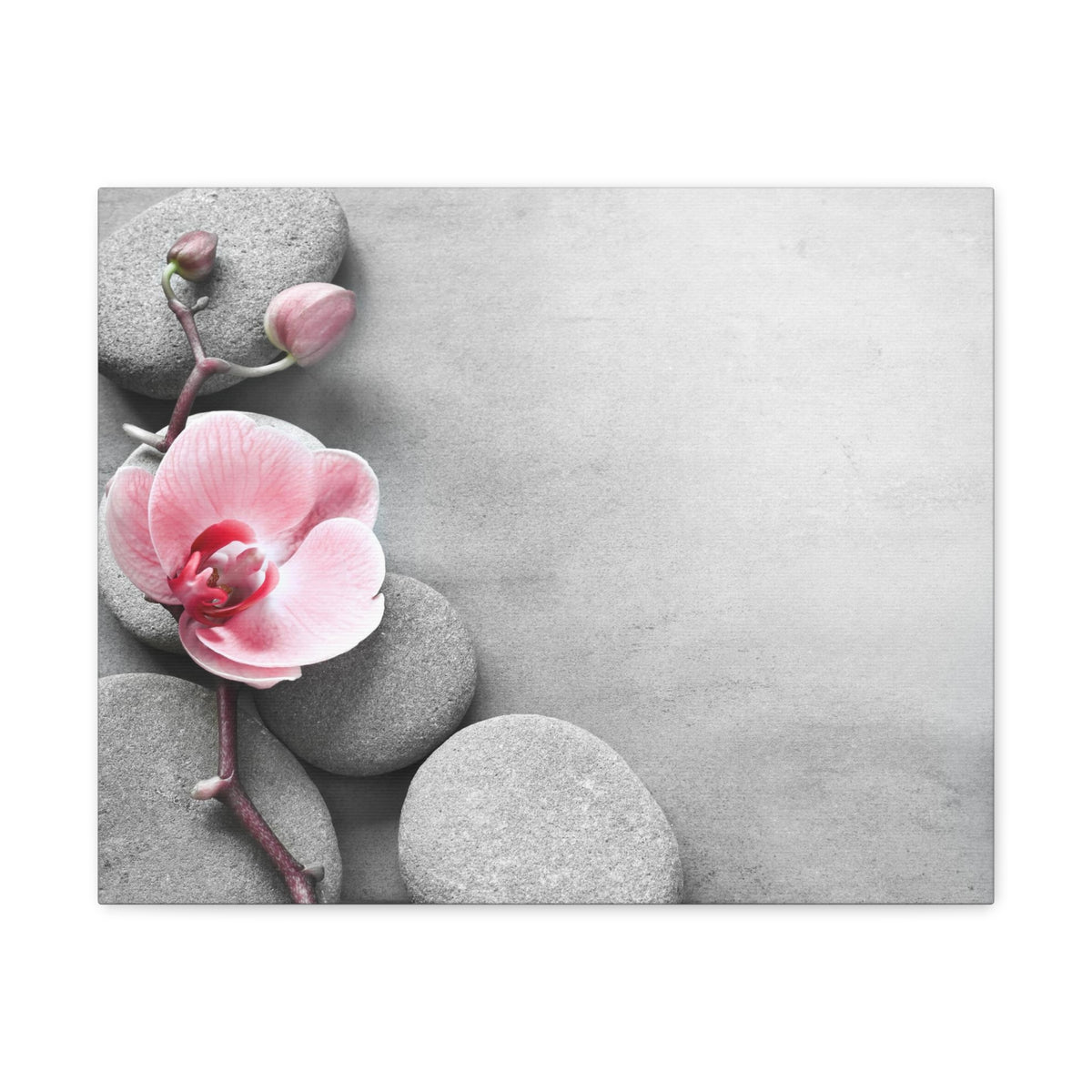 Orchid Pink Flower Forest Floral Nature Photography Canvas Wall Art for Home Decor Ready-to-Hang-Express Your Love Gifts