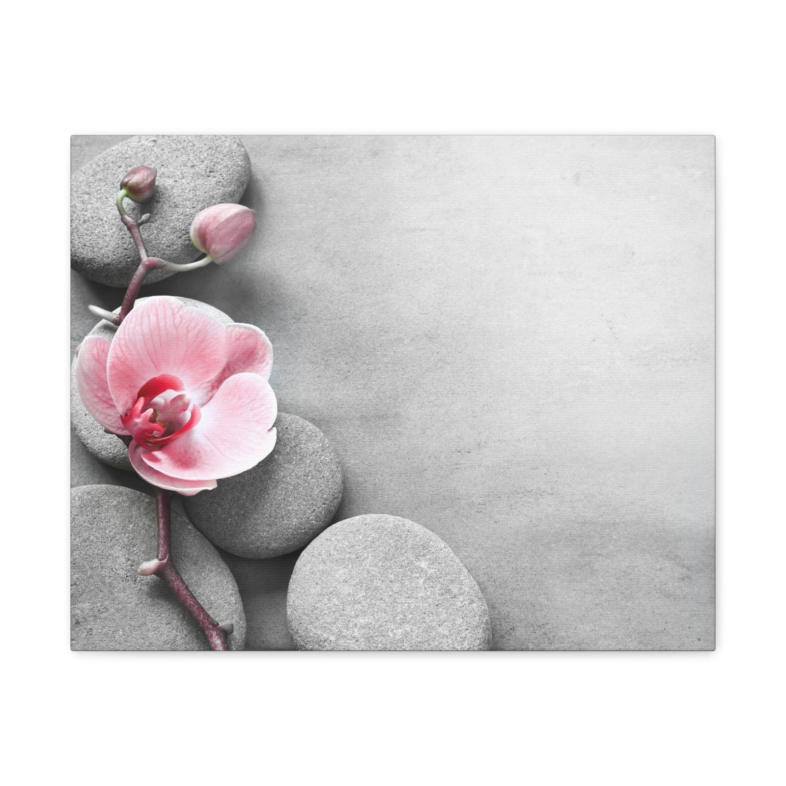 Orchid Pink Flower Forest Floral Nature Photography Canvas Wall Art for Home Decor Ready-to-Hang-Express Your Love Gifts