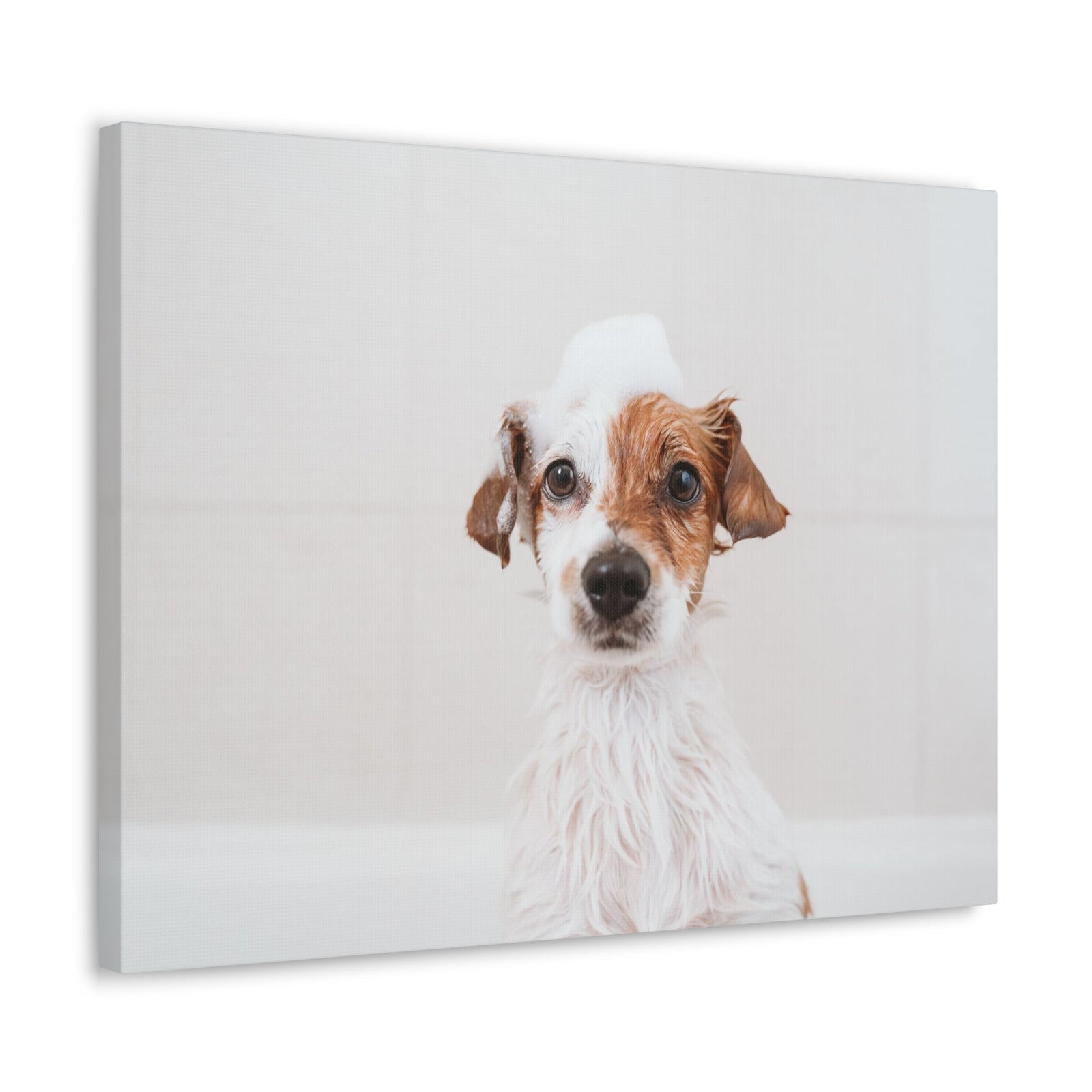 Cute Jack Russell Terrier Bathee Canvas Wall Art for Home Decor Ready-to-Hang-Express Your Love Gifts