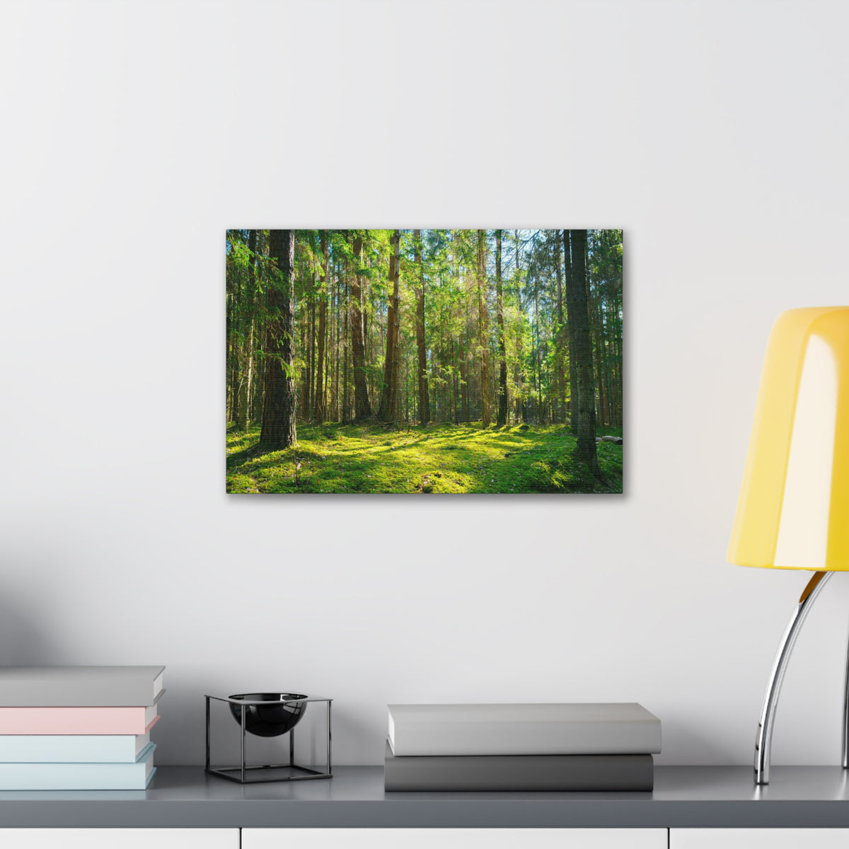 Sunlight Green Forest Tree Nature Wilderness Photography Canvas Wall Art for Home Decor Ready-to-Hang-Express Your Love Gifts