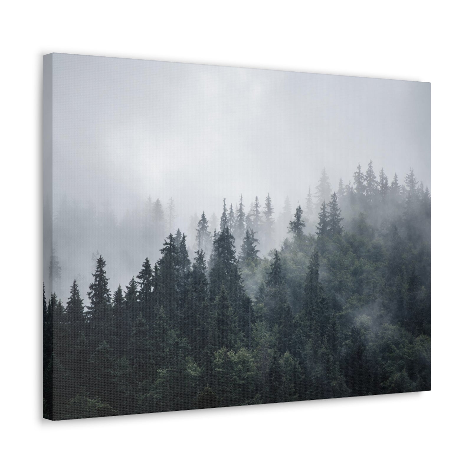 Foggy Pine Tree Green Forest Nature Wilderness Photography Canvas Wall Art for Home Decor Ready-to-Hang-Express Your Love Gifts
