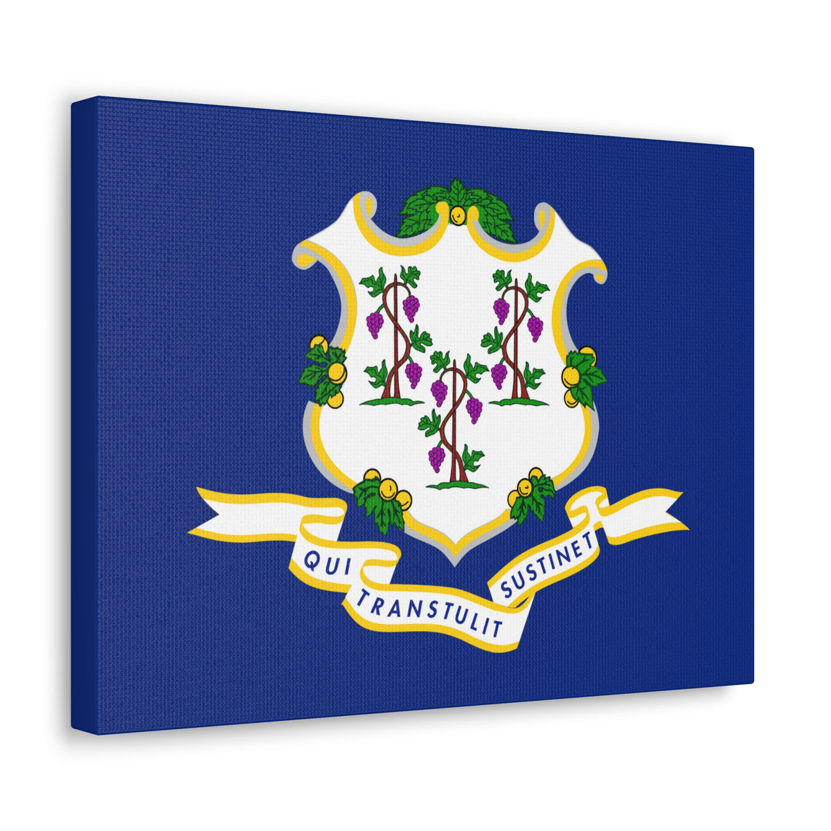 Connecticut State Flag Canvas Vibrant Wall Art Unframed Home Decor-Express Your Love Gifts