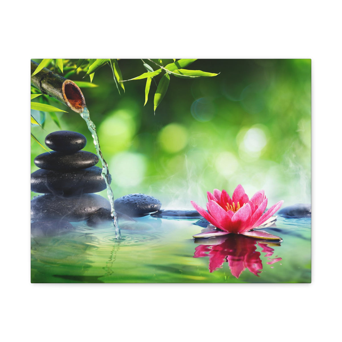 Stones and Waterlily Forest Floral Nature Photography Canvas Wall Art for Home Decor Ready-to-Hang-Express Your Love Gifts