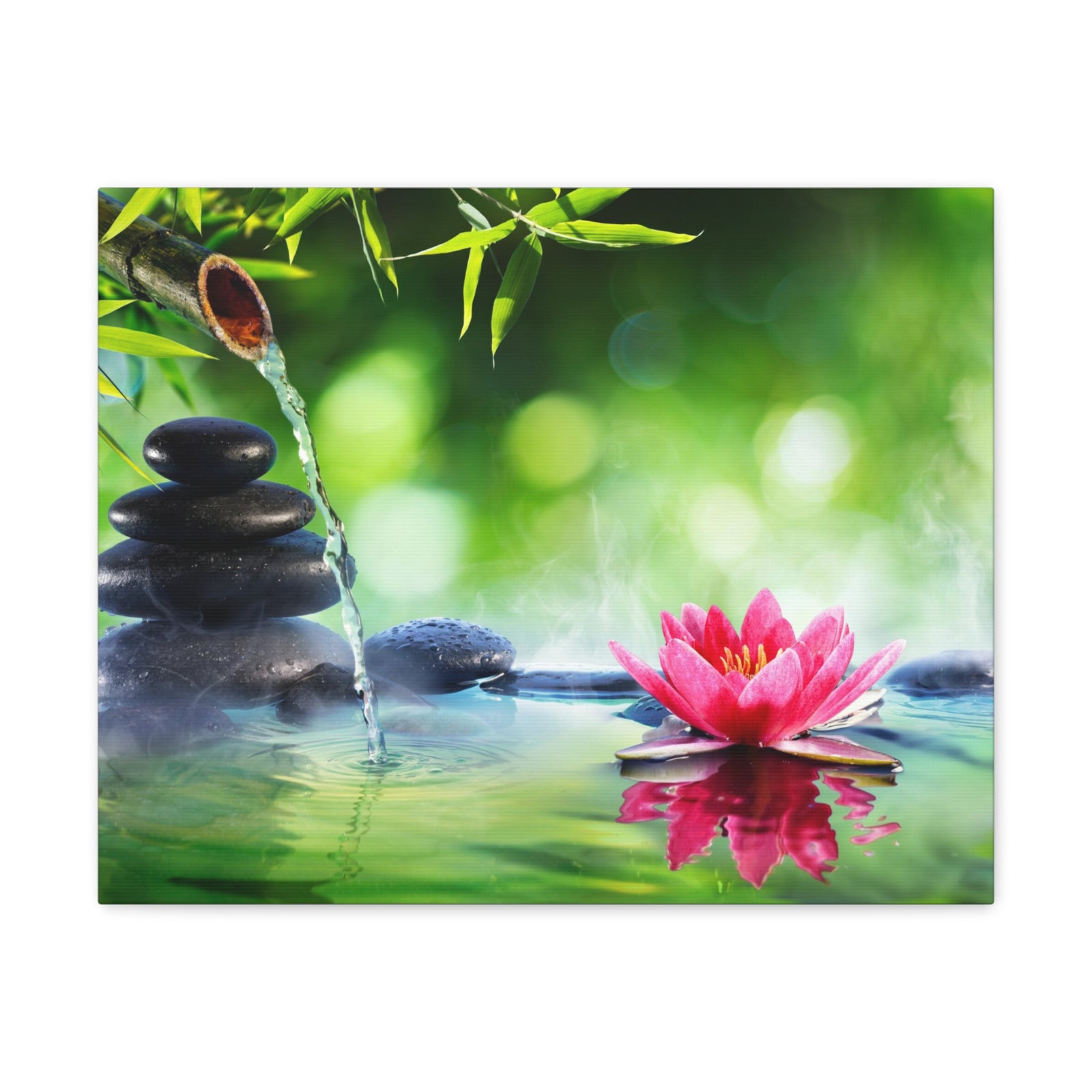 Stones and Waterlily Forest Floral Nature Photography Canvas Wall Art for Home Decor Ready-to-Hang-Express Your Love Gifts