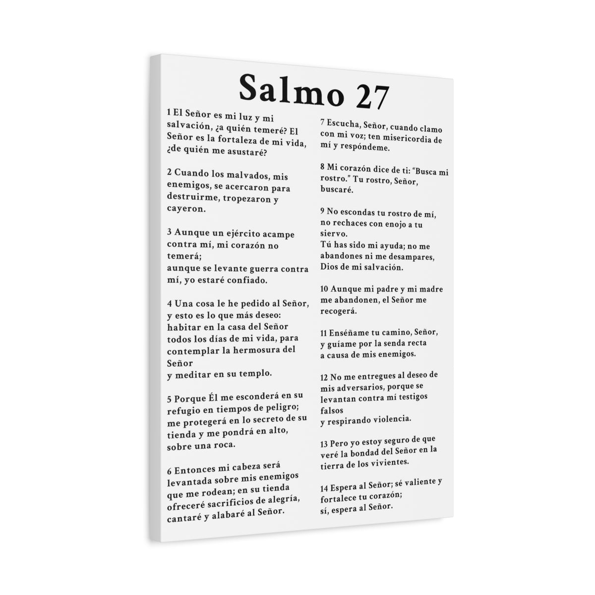 Scripture Walls Salmo 27 Chapter White Bible Canvas Christian Wall Art Ready to Hang Unframed-Express Your Love Gifts
