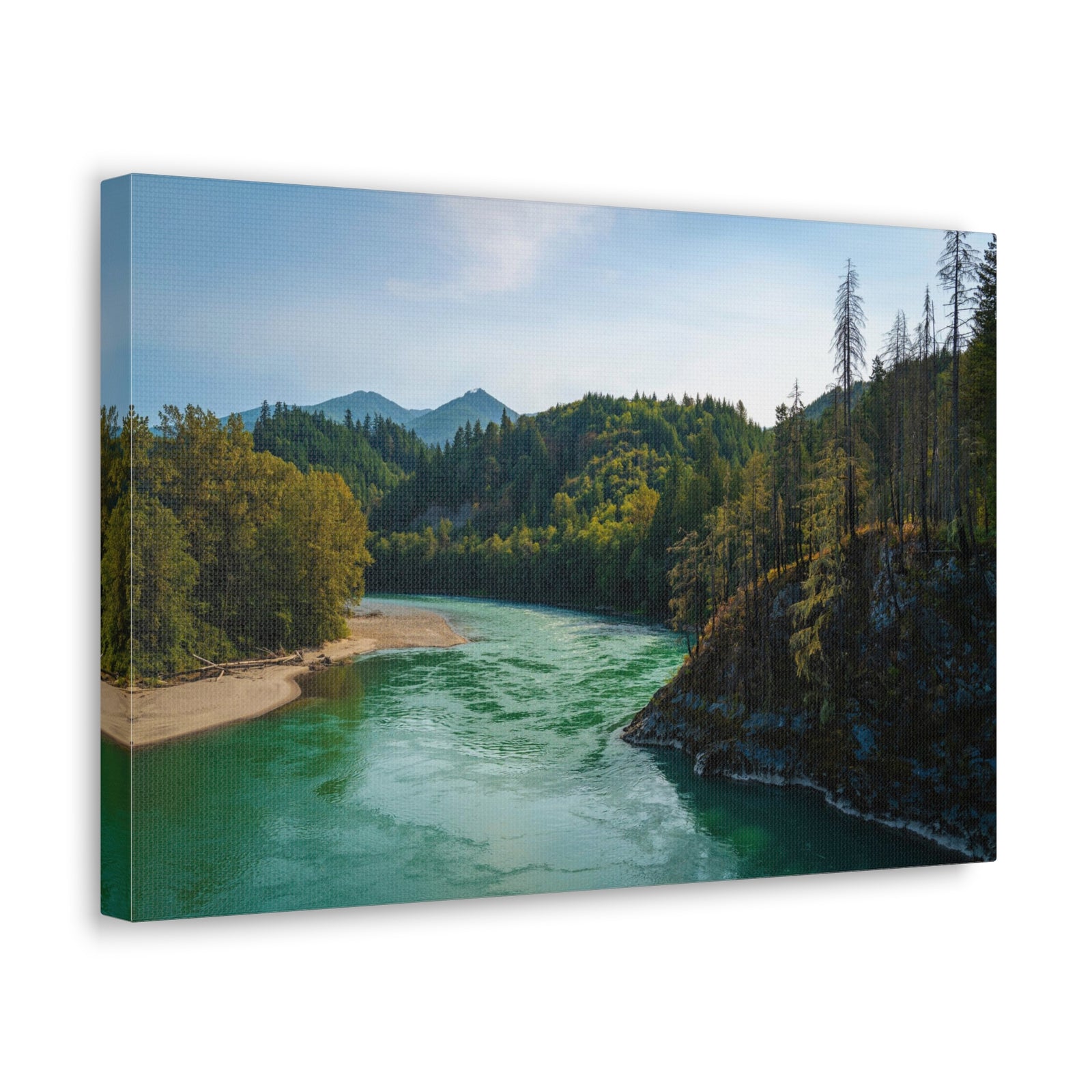 River Through Pine Tree Green Forest Nature Wilderness Photography Canvas Wall Art for Home Decor Ready-to-Hang-Express Your Love Gifts