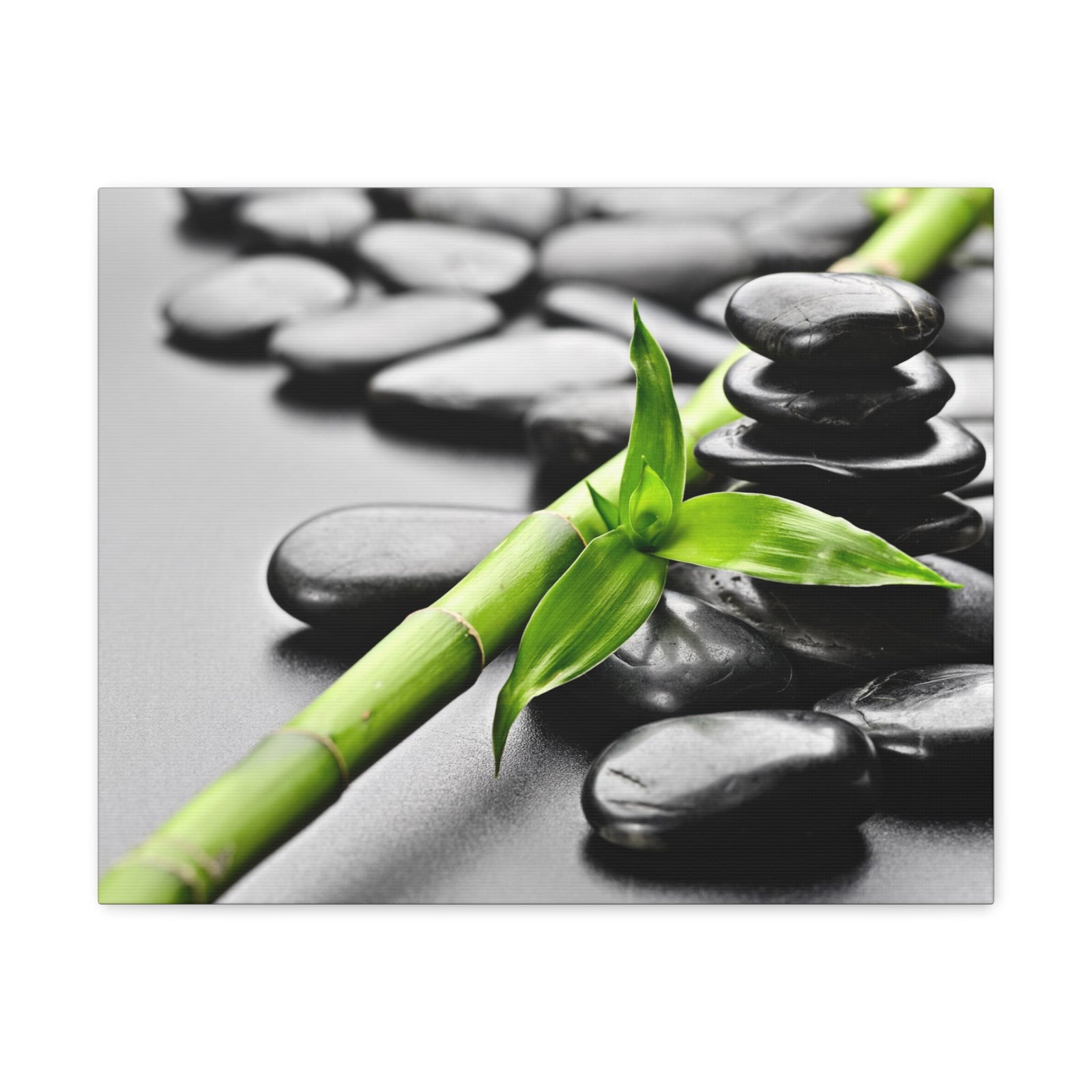 Basalt Stones on Black Forest Floral Nature Photography Canvas Wall Art for Home Decor Ready-to-Hang-Express Your Love Gifts