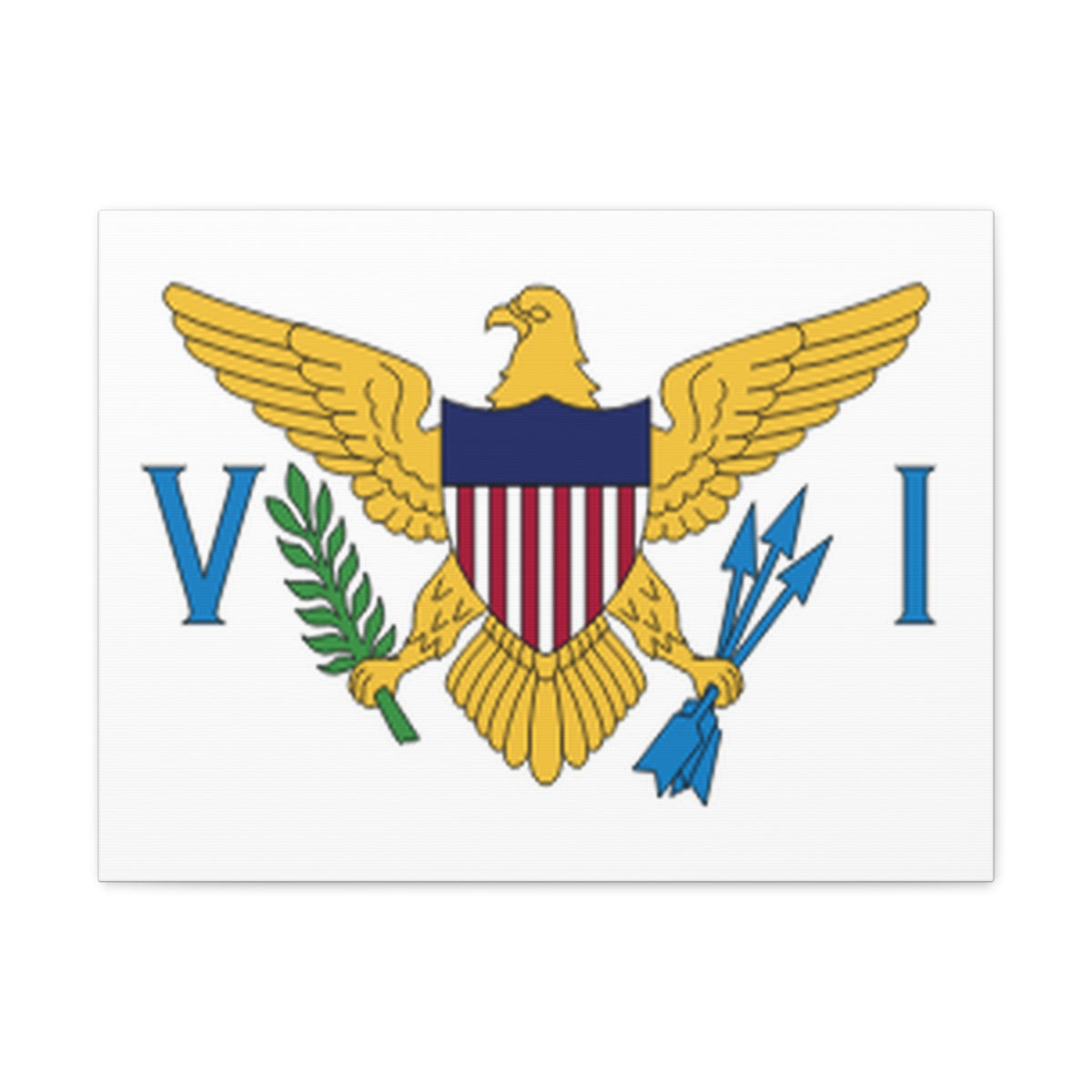 United States Virgin Islands Country Flag Canvas Vibrant Wall Art Unframed Home Decor-Express Your Love Gifts