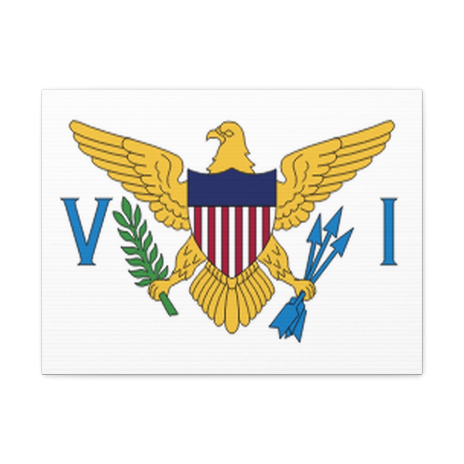 United States Virgin Islands Country Flag Canvas Vibrant Wall Art Unframed Home Decor-Express Your Love Gifts