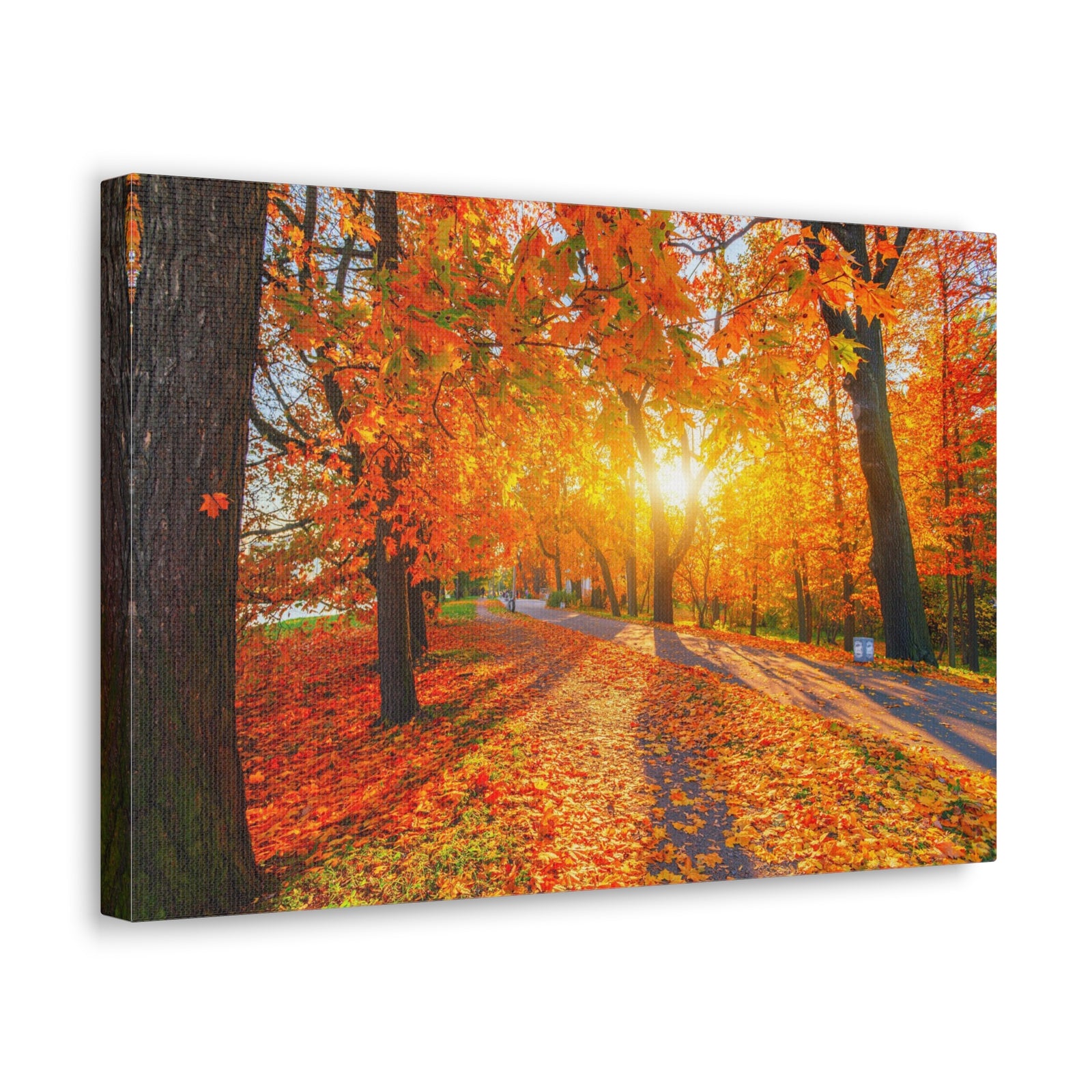 Autumn Forest Path Forest Floral Nature Photography Canvas Wall Art for Home Decor Ready-to-Hang-Express Your Love Gifts