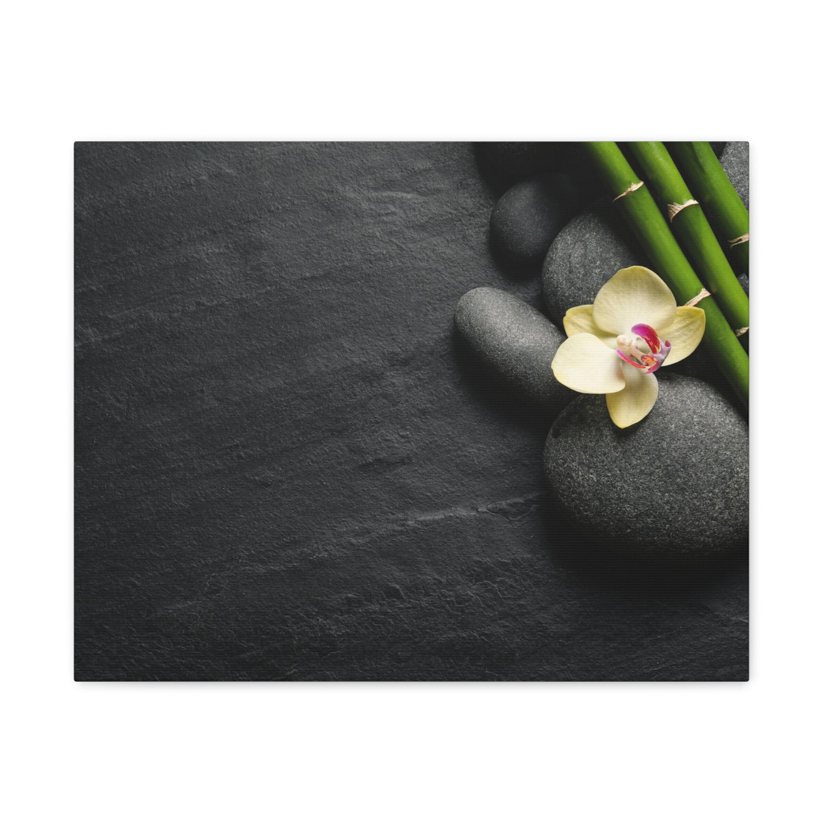 Beautiful Orchid Flower Forest Floral Nature Photography Canvas Wall Art for Home Decor Ready-to-Hang-Express Your Love Gifts