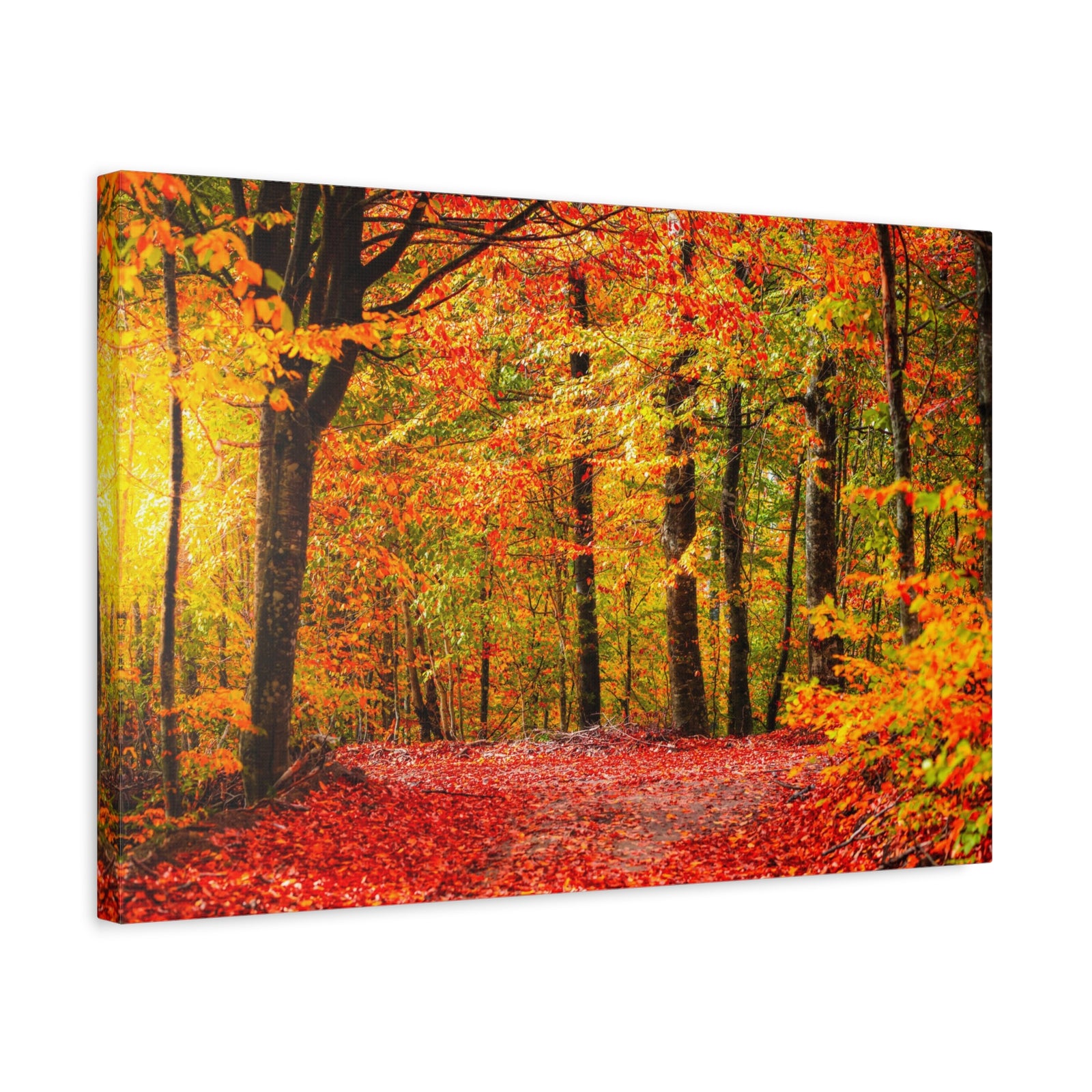 Autumn Forest Orange Leave Tree Nature Wilderness Photography Canvas Wall Art for Home Decor Ready-to-Hang-Express Your Love Gifts