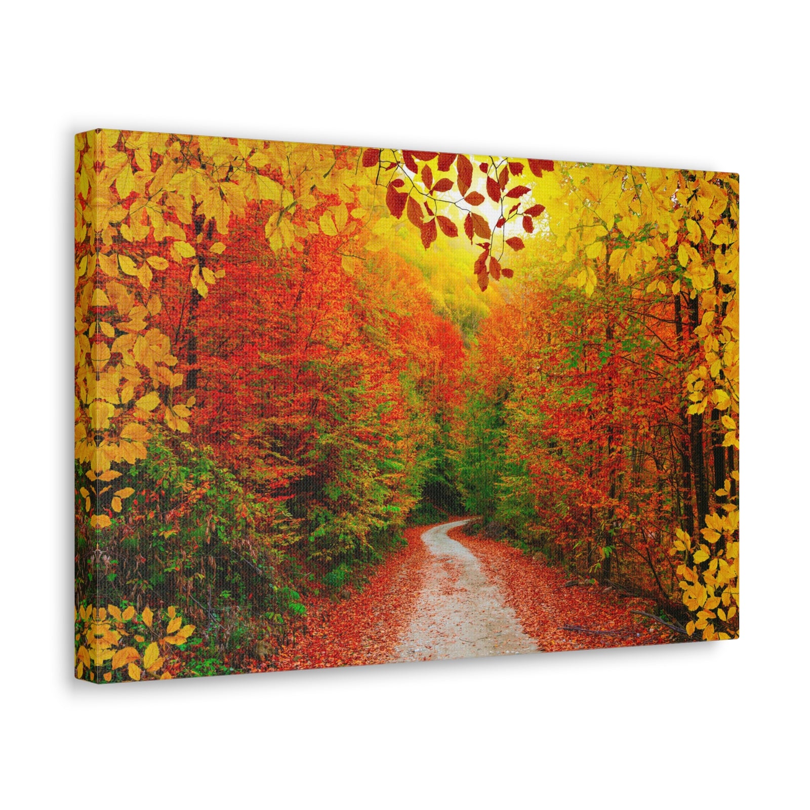 Autumn Fall Orange Leaf Forest Tree Trail Nature Wilderness Photography Canvas Wall Art for Home Decor Ready-to-Hang-Express Your Love Gifts