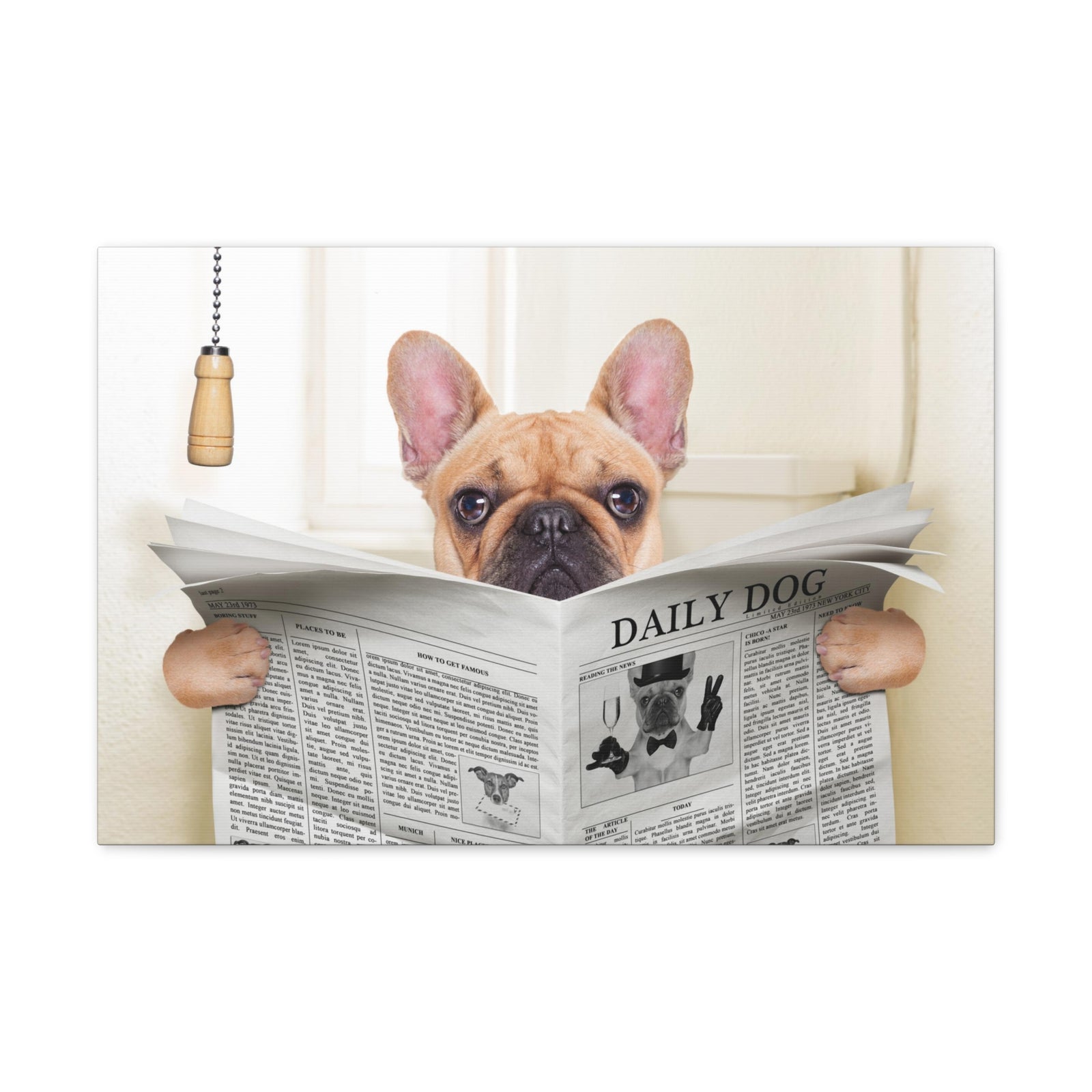 Fawn French Bulldog Reading Newspaper On Toilet Funny Canvas Wall Art for Home Decor Ready-to-Hand-Express Your Love Gifts