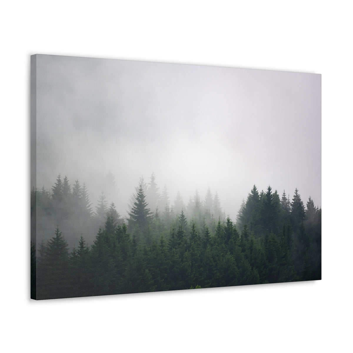Foggy Dark Forest Nature Wilderness Photography Canvas Wall Art for Home Decor Ready-to-Hang-Express Your Love Gifts
