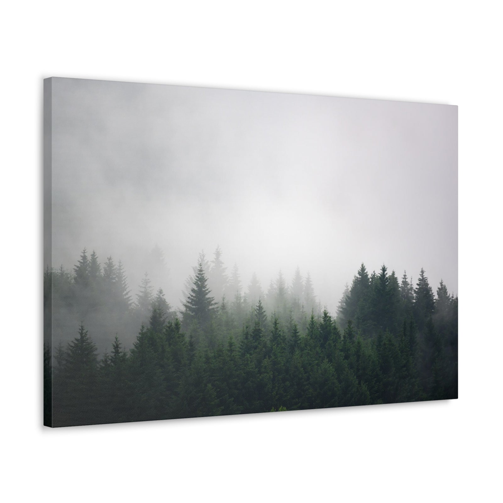 Foggy Dark Forest Nature Wilderness Photography Canvas Wall Art for Home Decor Ready-to-Hang-Express Your Love Gifts