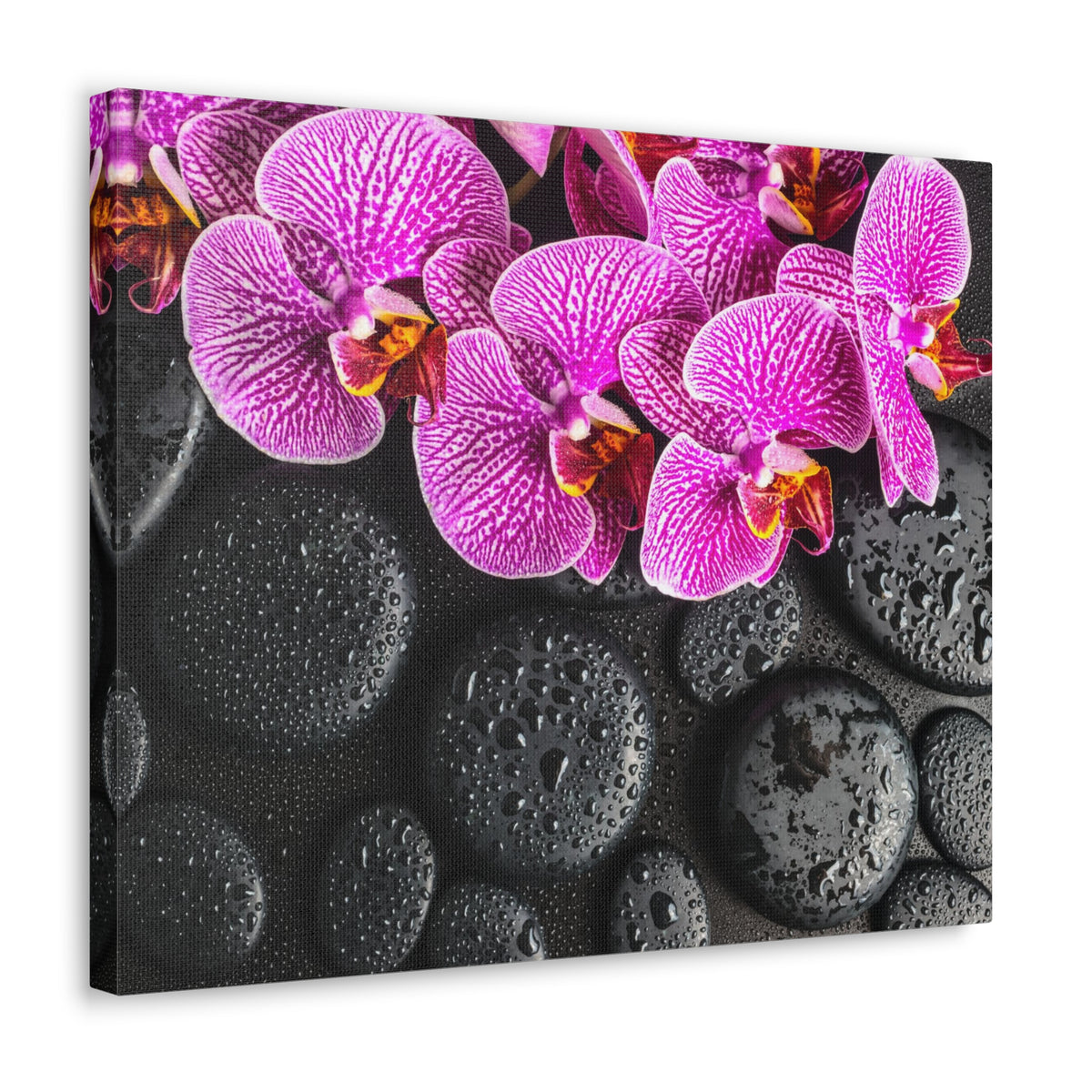 Violet Orchid on Stones Forest Floral Nature Photography Canvas Wall Art for Home Decor Ready-to-Hang-Express Your Love Gifts