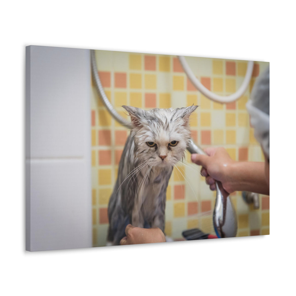 Cute Maine Coon Bath Canvas Wall Art for Home Decor Ready-to-Hang-Express Your Love Gifts