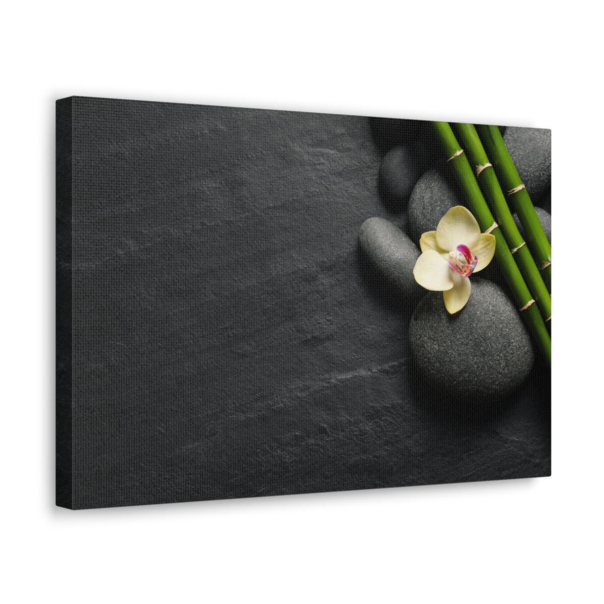 Beautiful Orchid Flower Forest Floral Nature Photography Canvas Wall Art for Home Decor Ready-to-Hang-Express Your Love Gifts